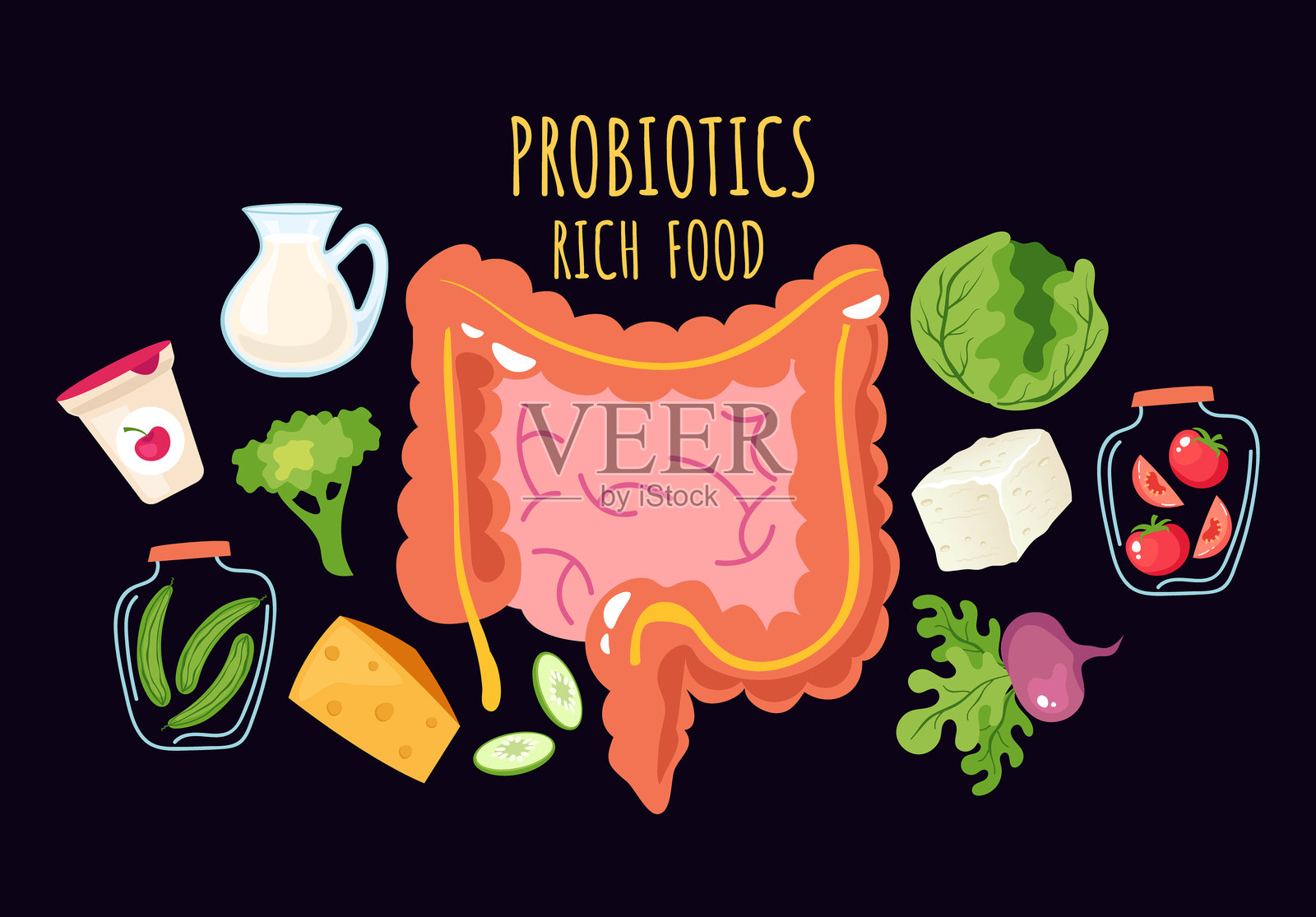 益生菌发酵丰富食品信息图概念。矢量卡通图形设计元素插图插画图片素材