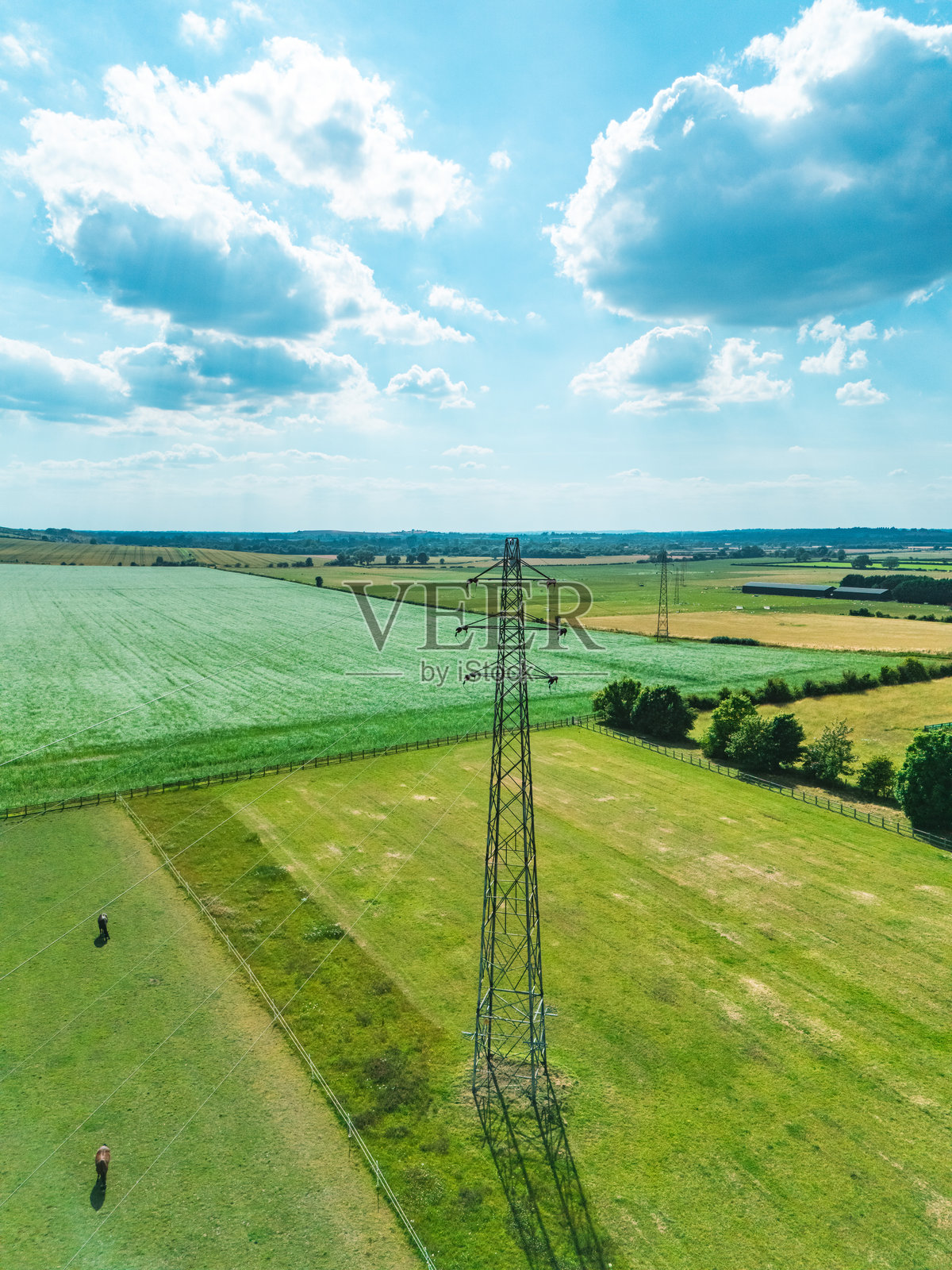 农田中盛开的蓝色亚麻的无人机视角照片摄影图片