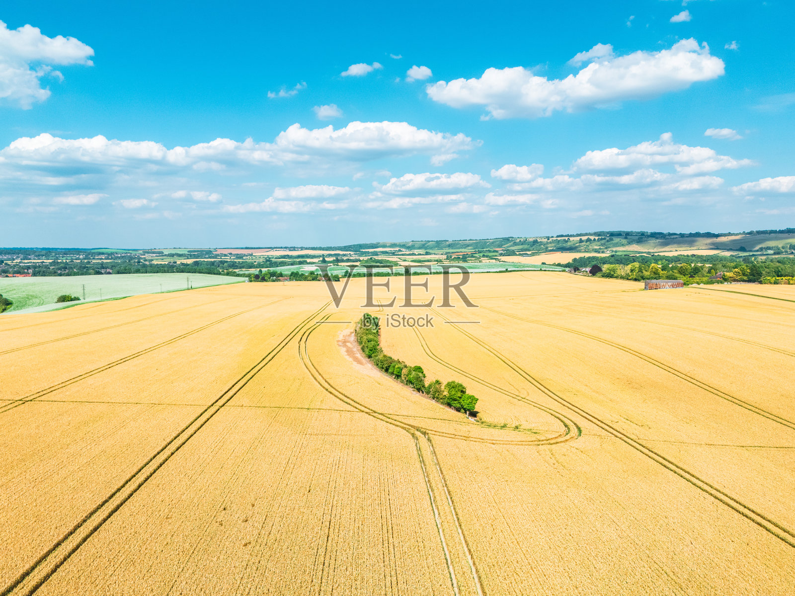 夏季农业农田中金色小麦作物成熟的鸟瞰图照片摄影图片