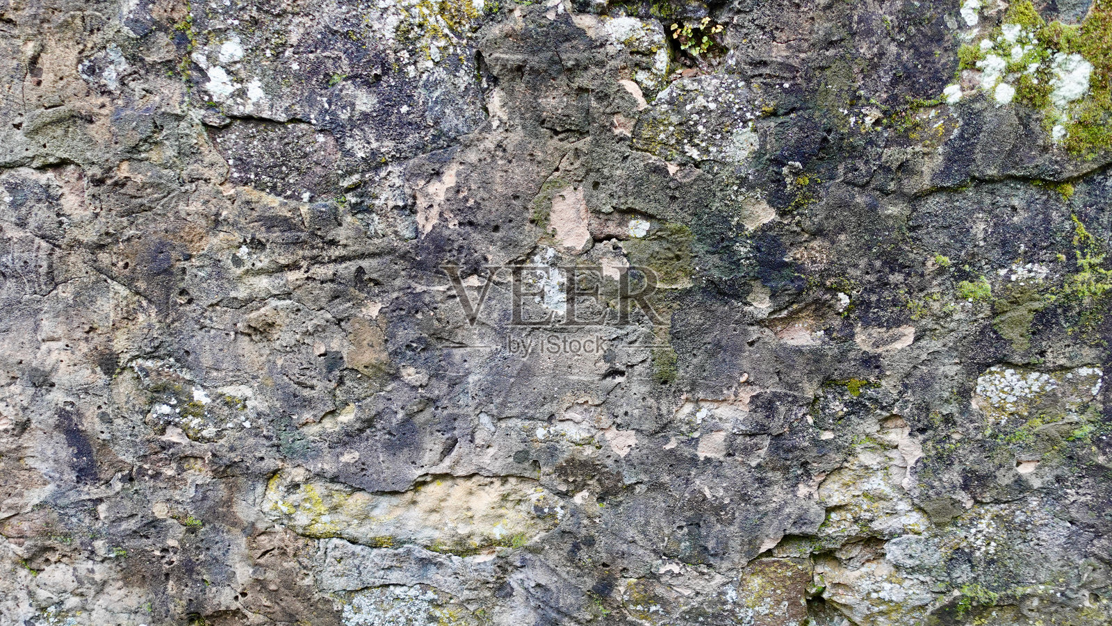 自然历史遗址中的苔藓和地衣覆盖的纹理石墙照片摄影图片