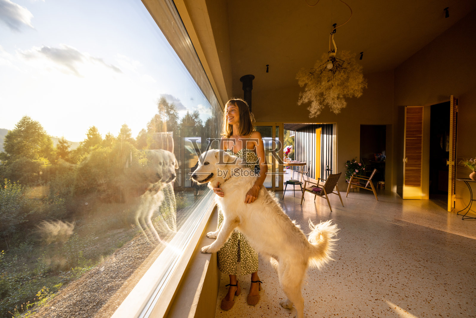阳光明媚的时刻，狗狗在窗边照片摄影图片