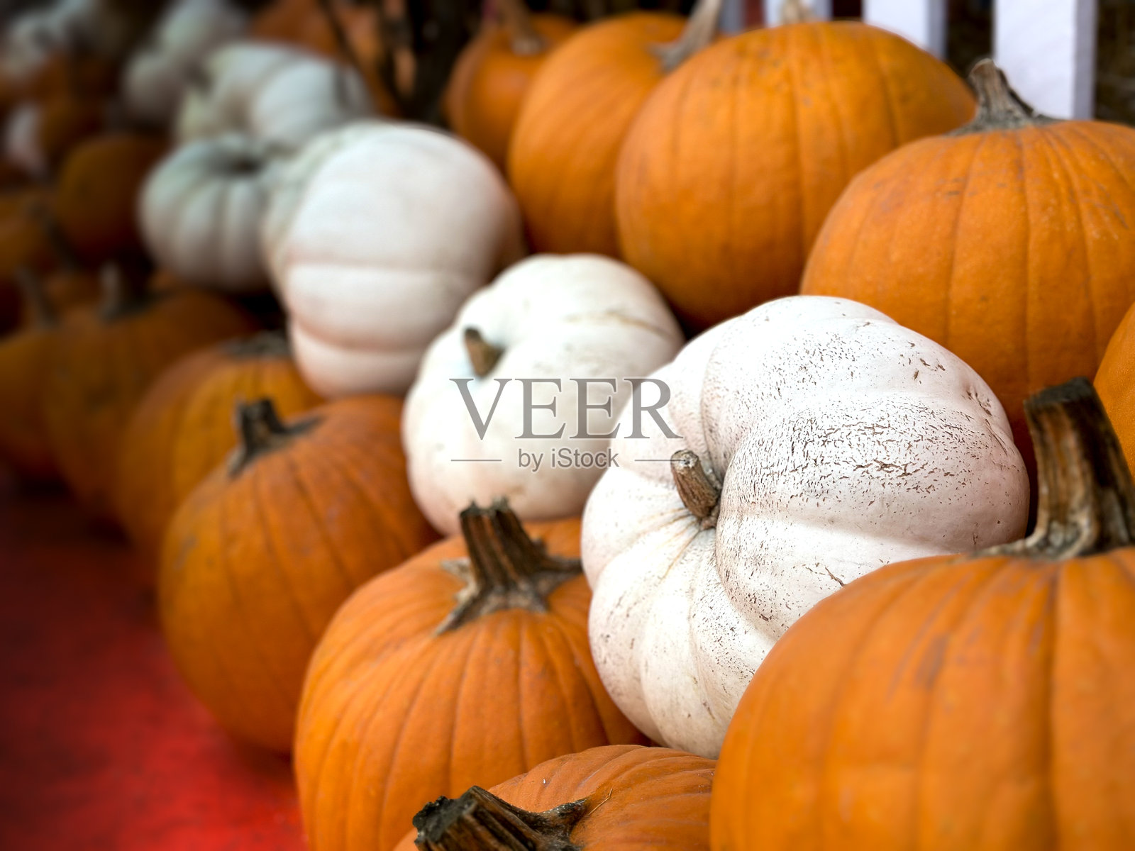 南瓜照片摄影图片