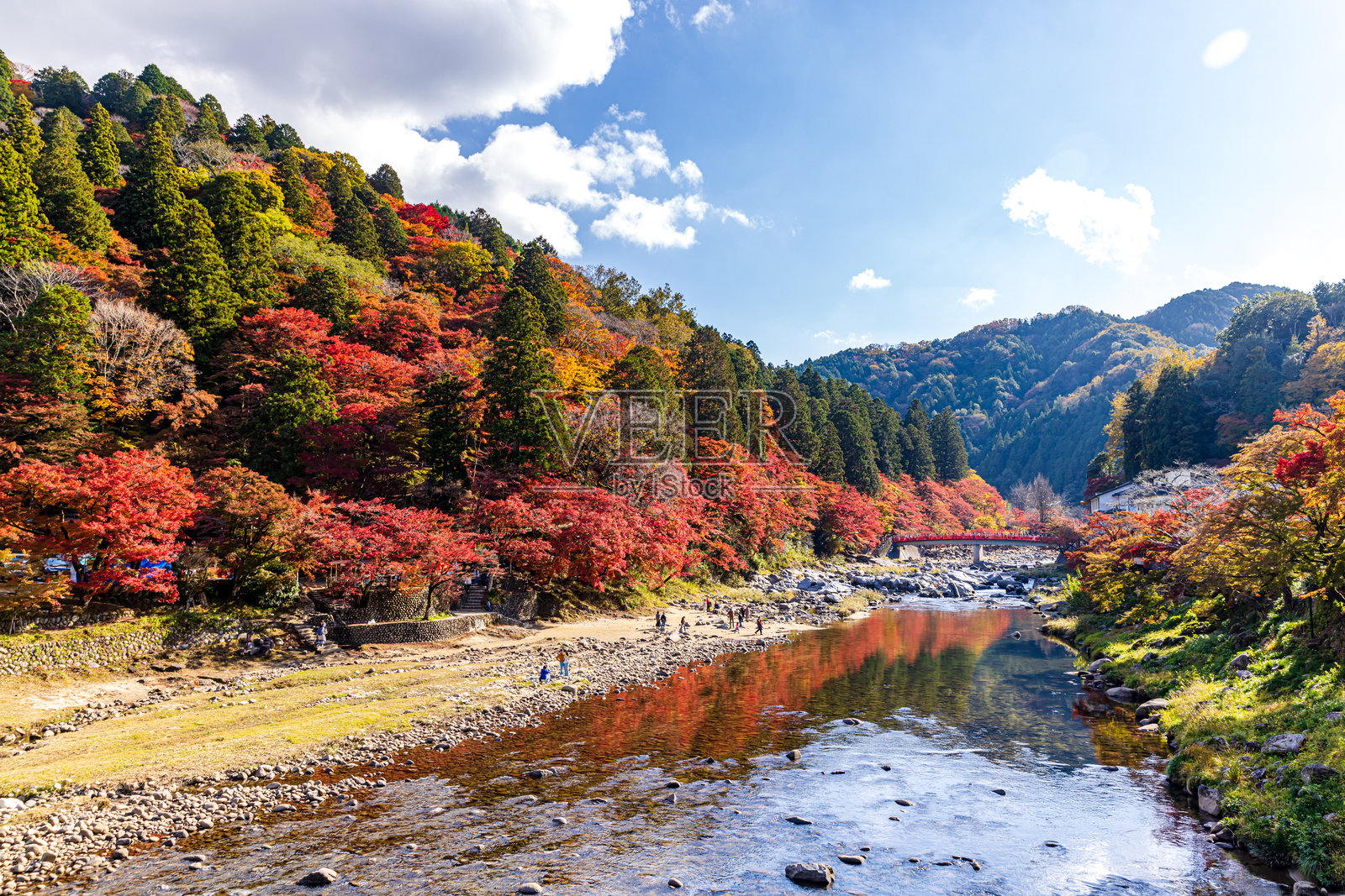 爱知县香嵐渓的秋叶照片摄影图片