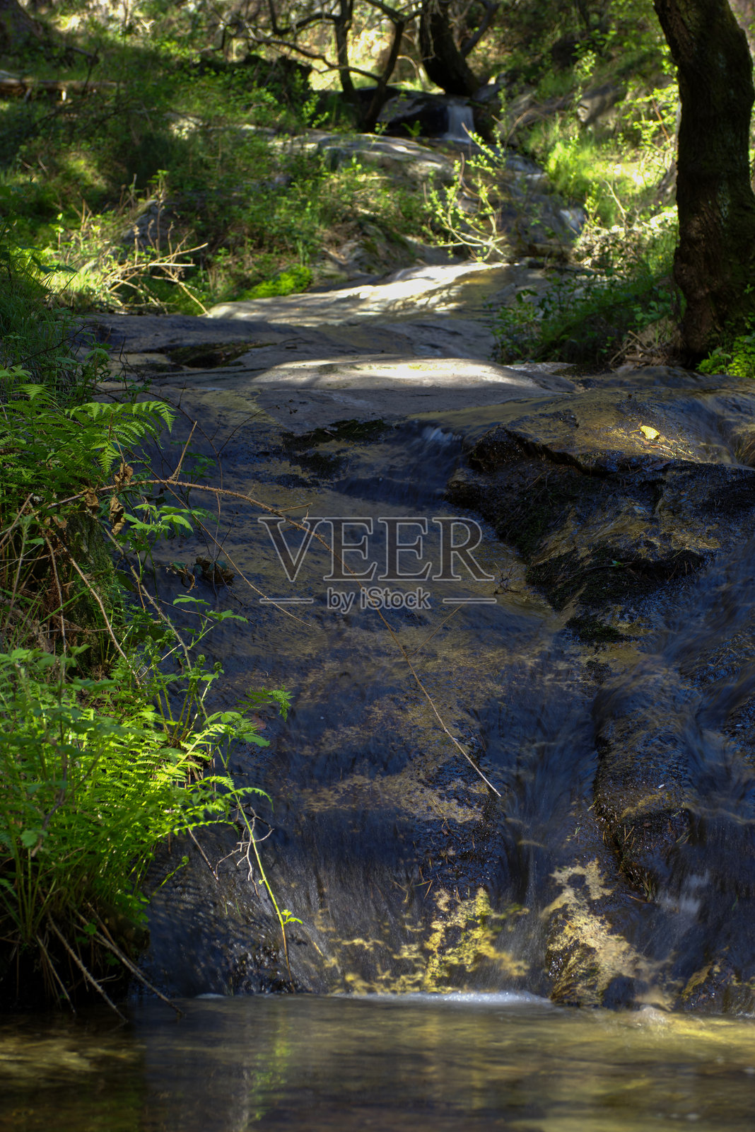 溪流、山涧、水、山脉、自然、景观、山、绿植、植物照片摄影图片