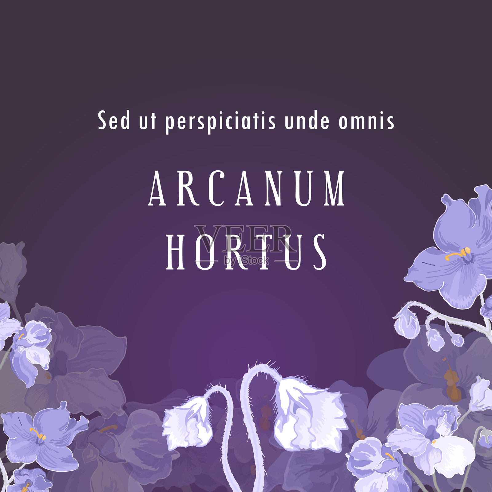 植物或草本产品的矢量插图插画图片素材