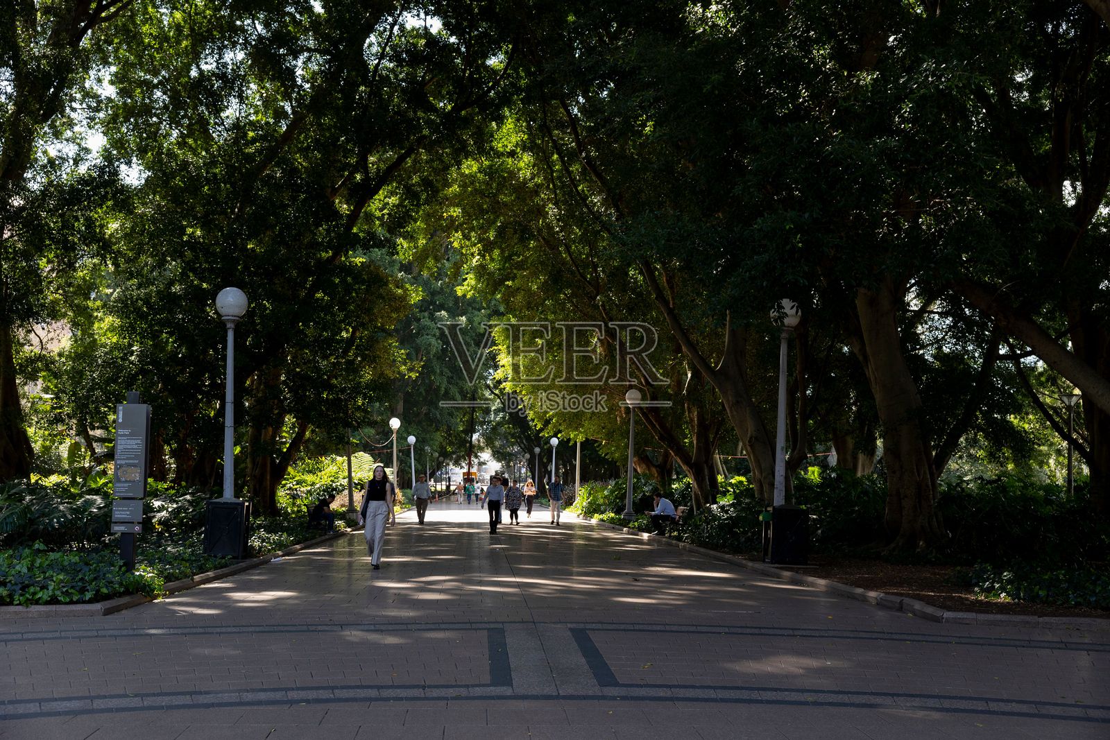 悉尼中央商务区海德公园的风景步道照片摄影图片