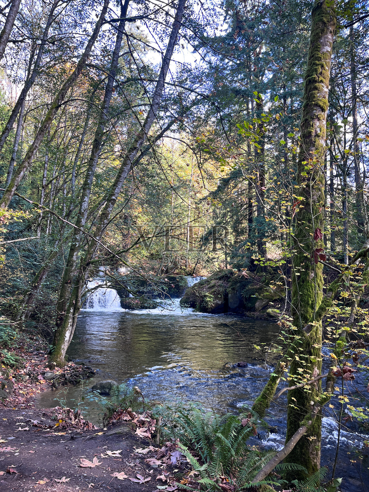 华克姆瀑布公园照片摄影图片