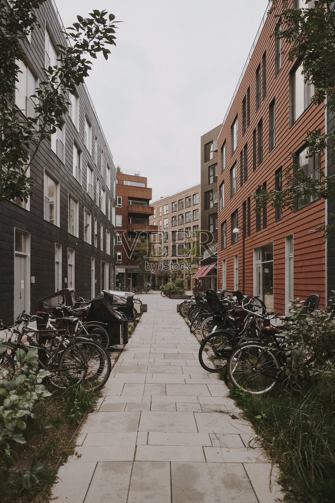 哥本哈根诺德港区的街道上有自行车照片摄影图片