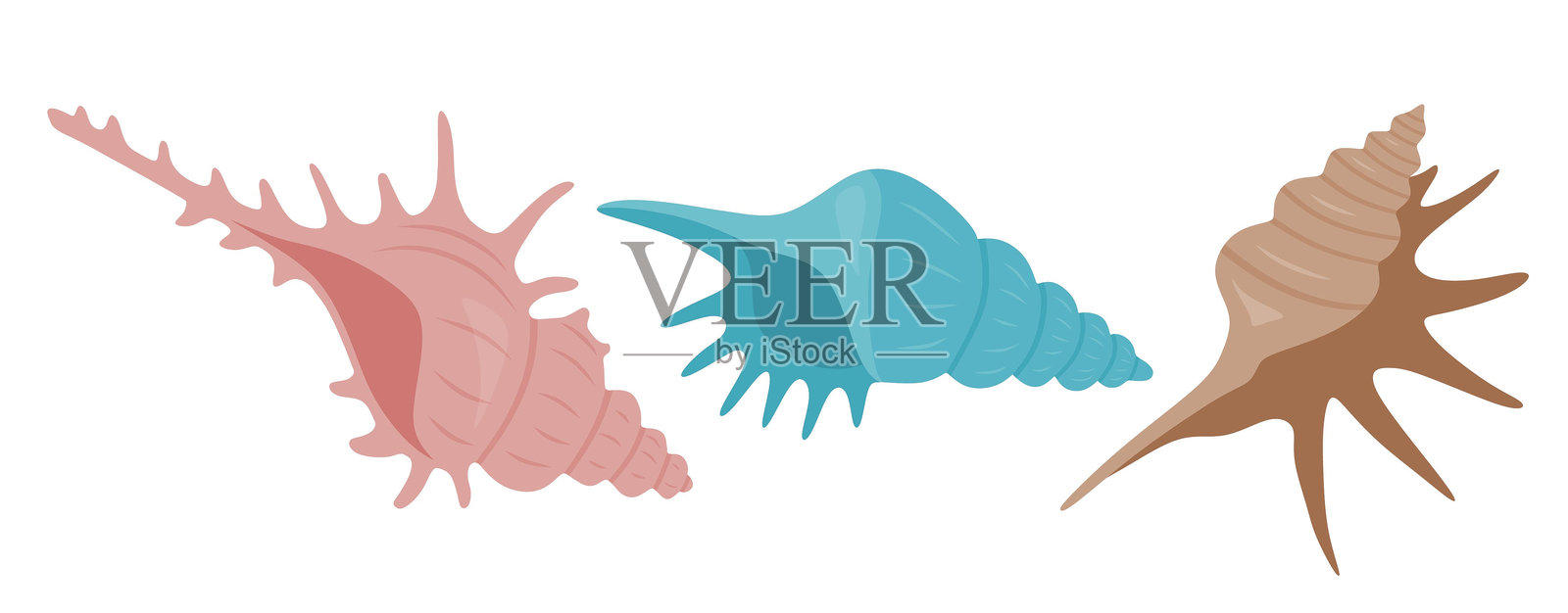 可爱的海螺矢量图集，卡通风格。白色背景上的贝壳收藏。插画图片素材