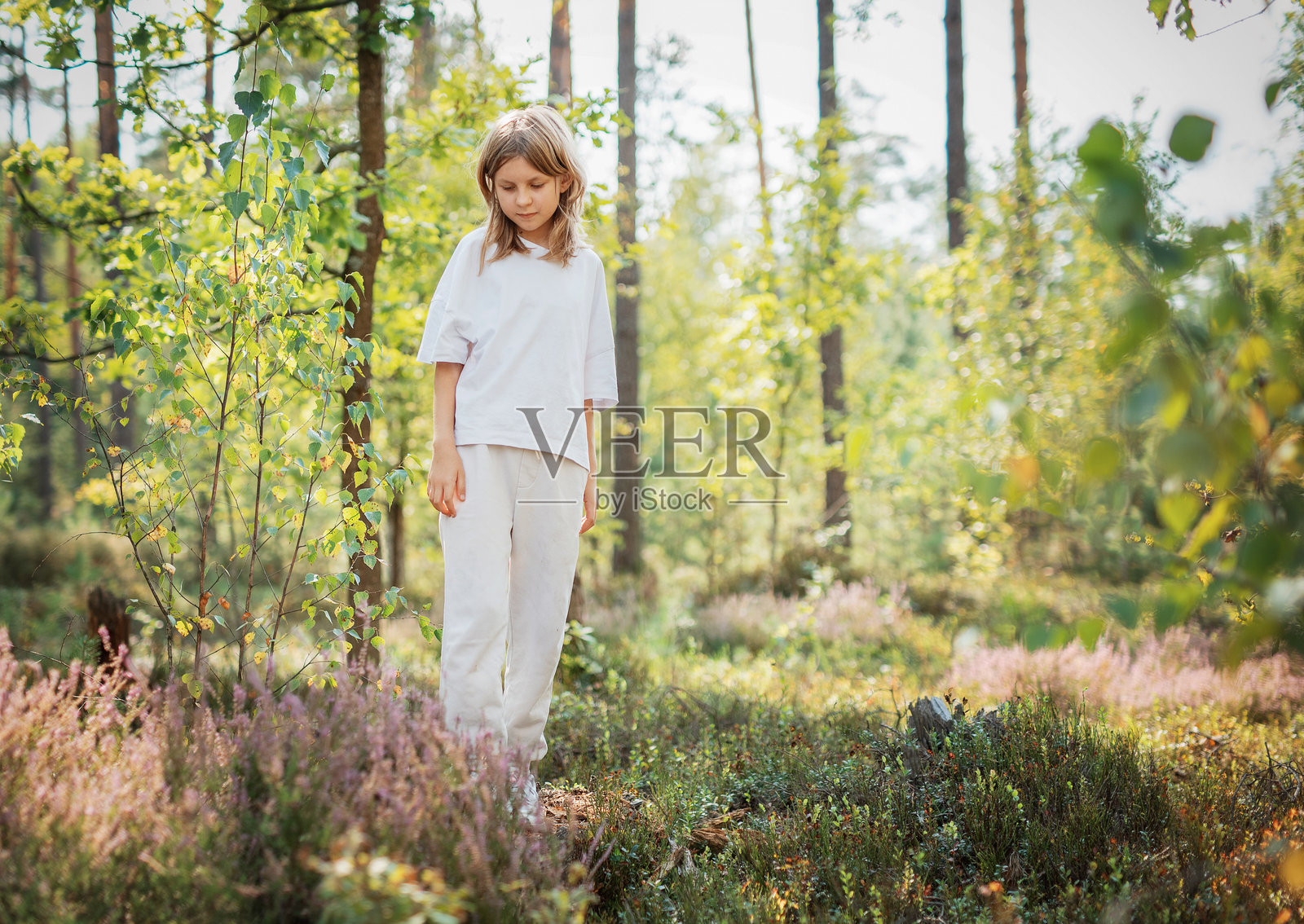 一个年轻女孩在明亮的阳光下探索宁静的森林，周围是绿色的树木和生机勃勃的野花。照片摄影图片