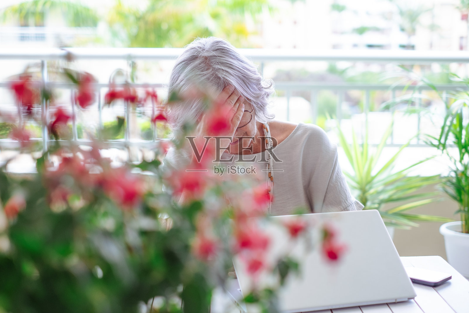 感到压力的灰发老年女性在电脑学习后遭遇剧烈头痛，疲惫的老年女性正在忍受偏头痛。照片摄影图片