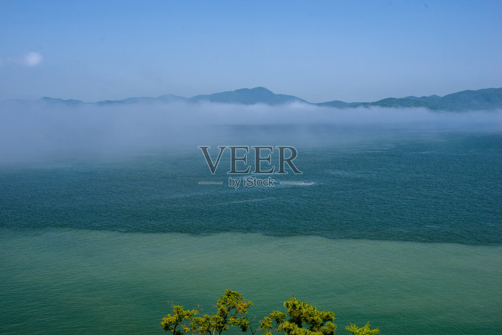 树、海洋和云彩。照片摄影图片