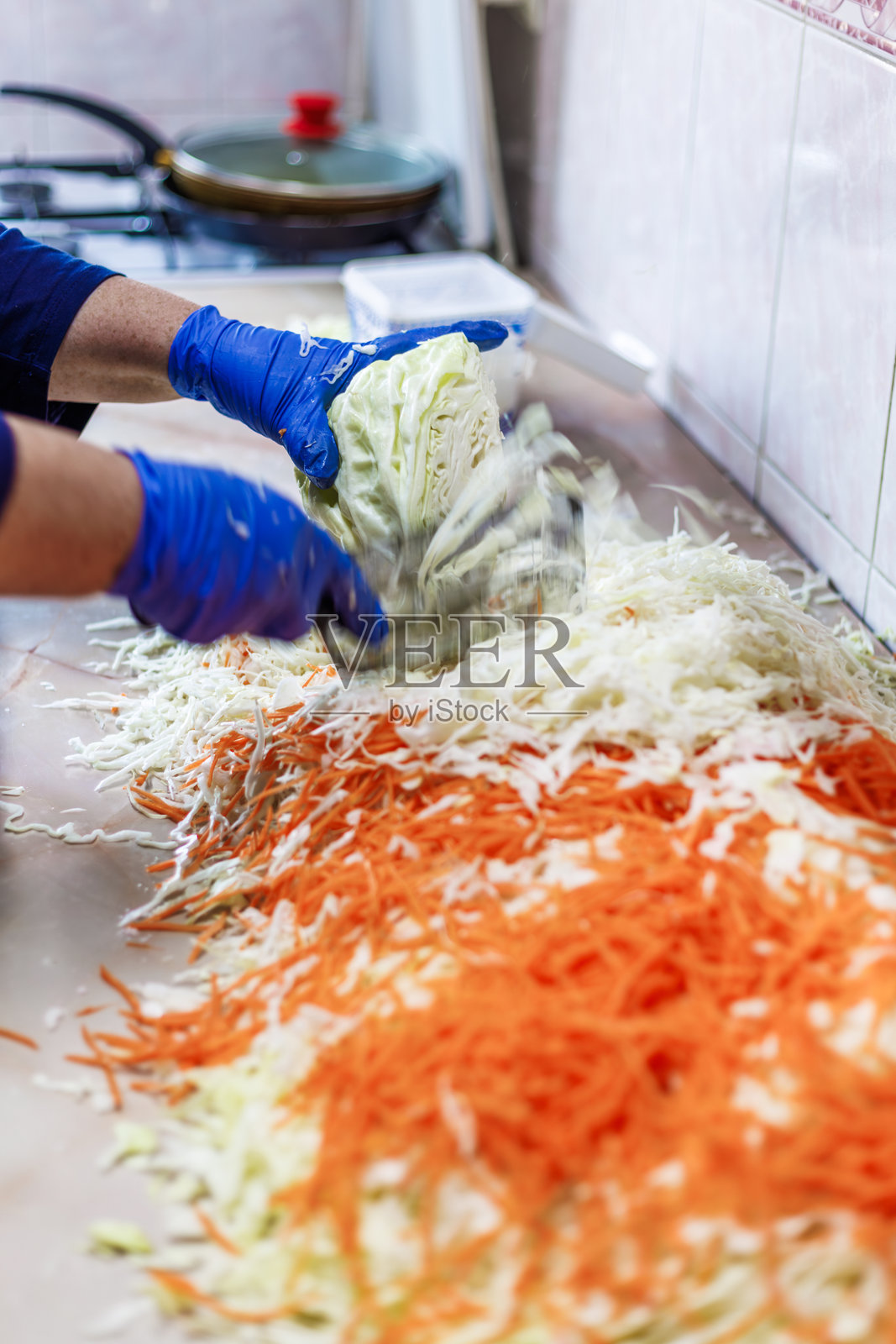 戴着蓝色手套的手用特制的卷心菜切割刀切割卷心菜照片摄影图片