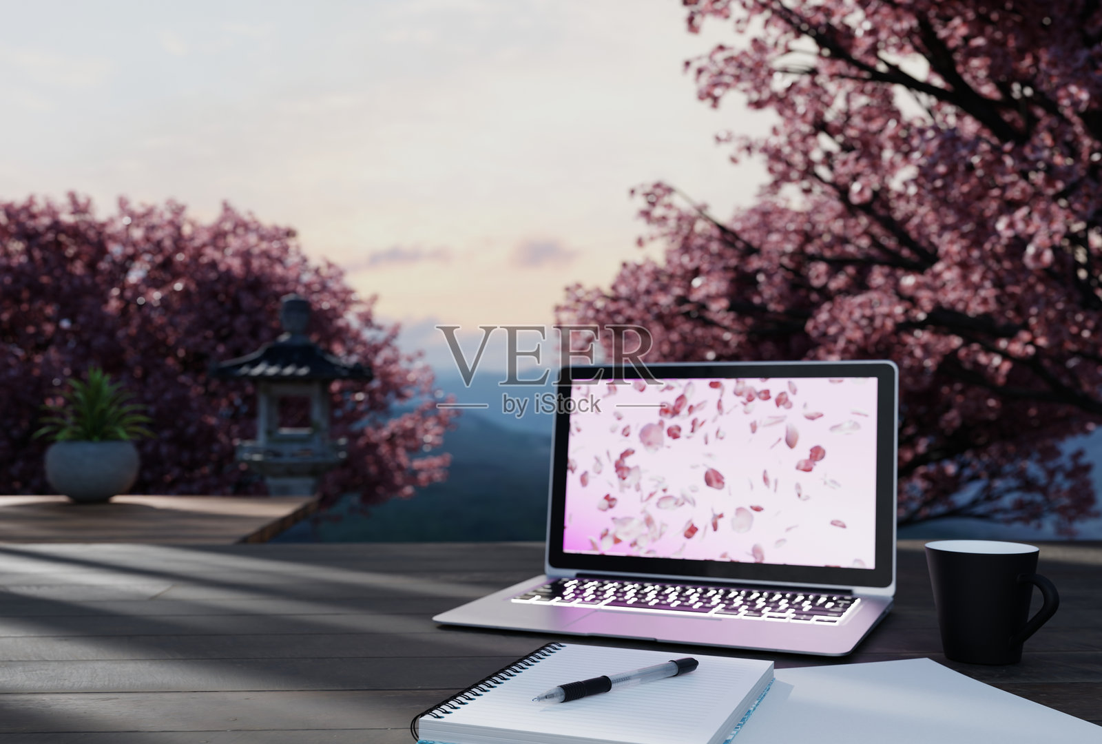 樱花季节在户外使用笔记本电脑工作照片摄影图片