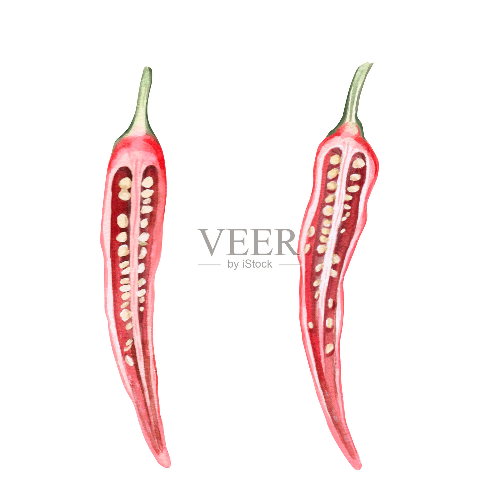 切开的红椒，带有种子。用于香料包装设计、食谱、面料印刷、餐厅印刷设计、餐具和厨房用品的孤立水彩插图。照片摄影图片