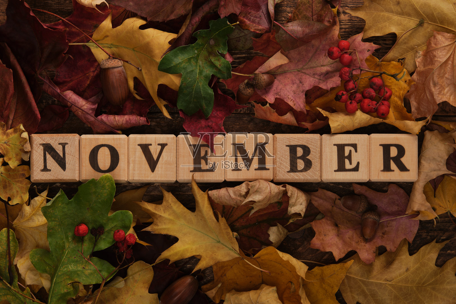 木块英文单词“November”，周围是秋叶和橡子照片摄影图片