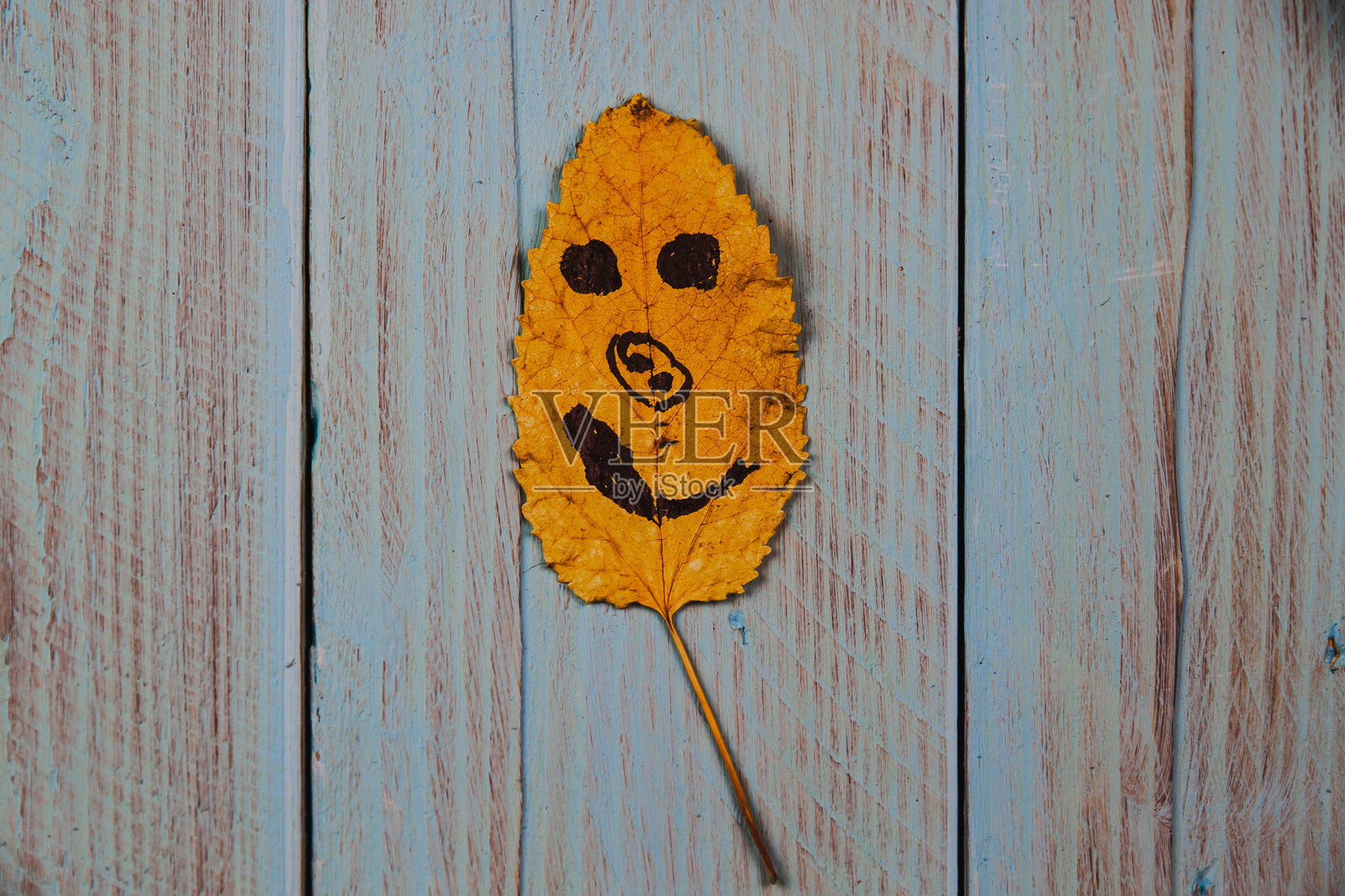 在一片黄色叶子上画的搞笑笑脸表情符号照片摄影图片