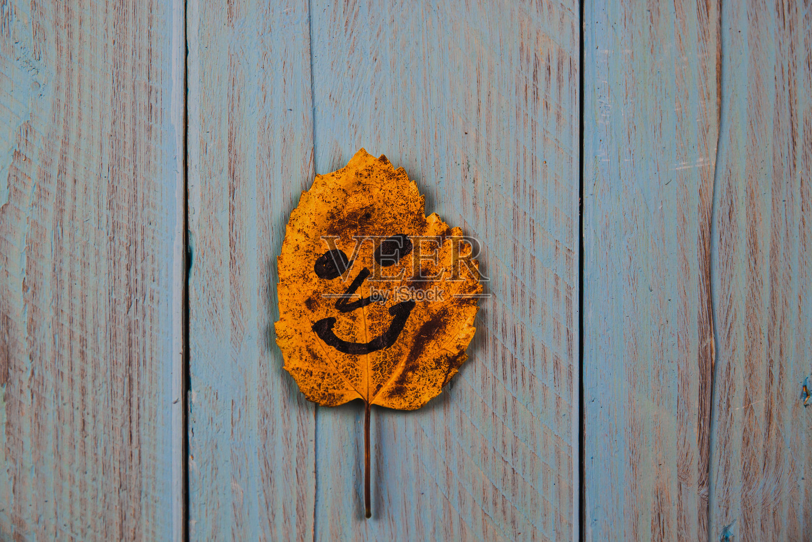 在一片黄色叶子上画的搞笑笑脸表情符号照片摄影图片