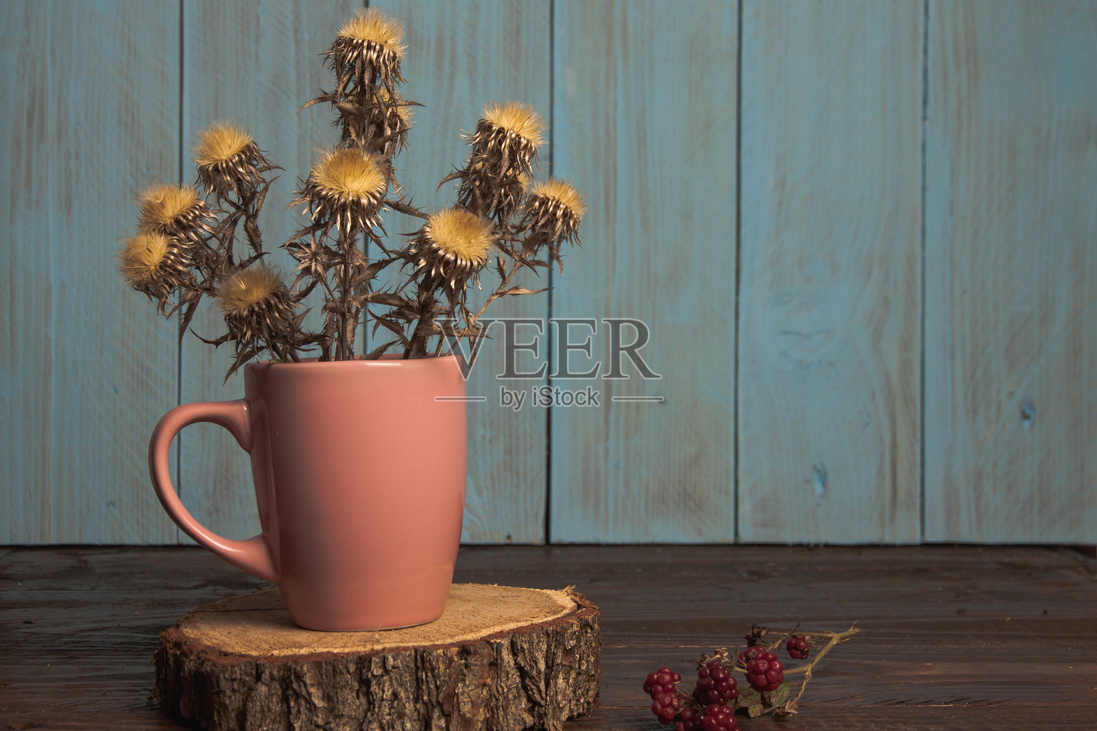 秋季构图：粉色杯子里的干枯刺藤，放在木桩上，旁边有黑莓枝。照片摄影图片