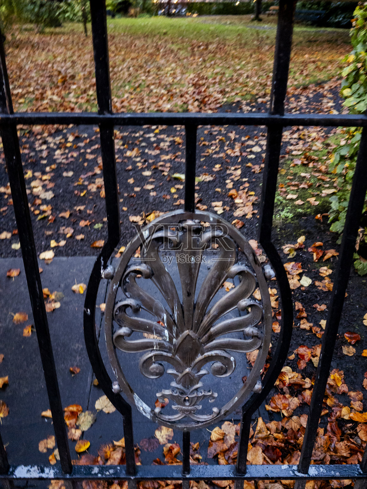 苏格兰爱丁堡的秋季 foliage照片摄影图片