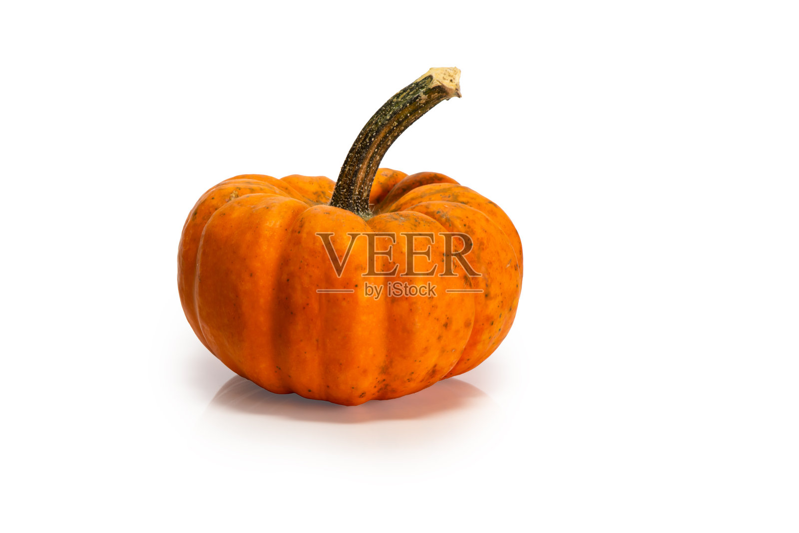 制作南瓜派的完美南瓜照片摄影图片