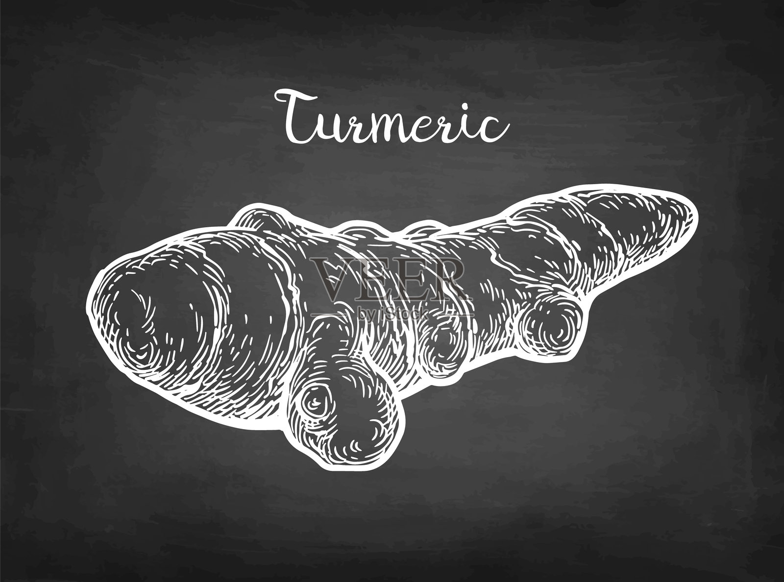 姜黄根的粉笔素描插画图片素材