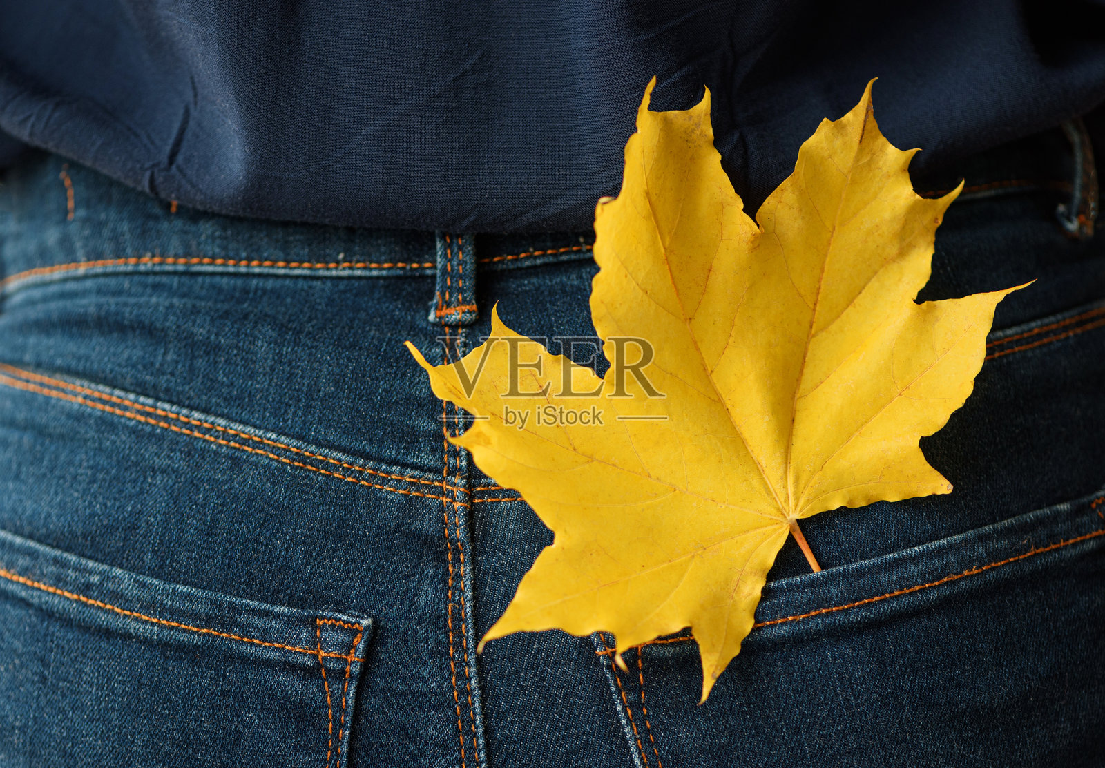 口袋里放着秋天枫叶的牛仔裤。正面视图照片摄影图片