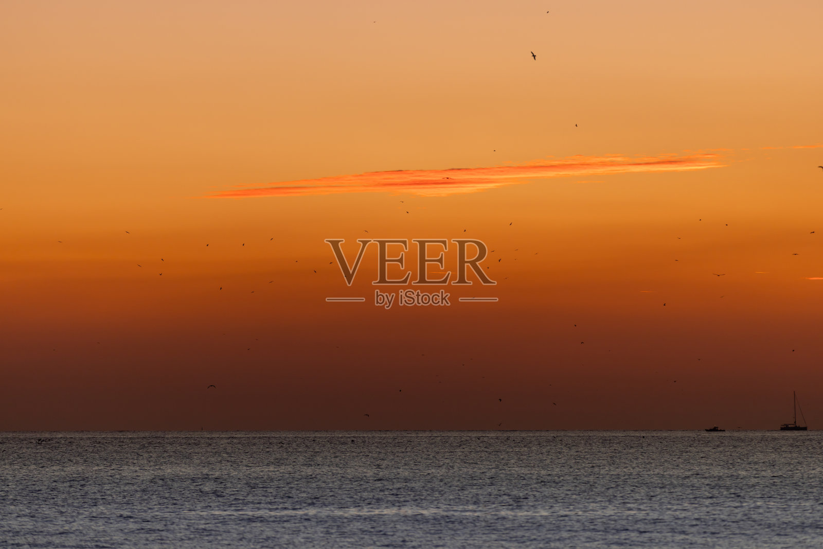 日落景观照片摄影图片