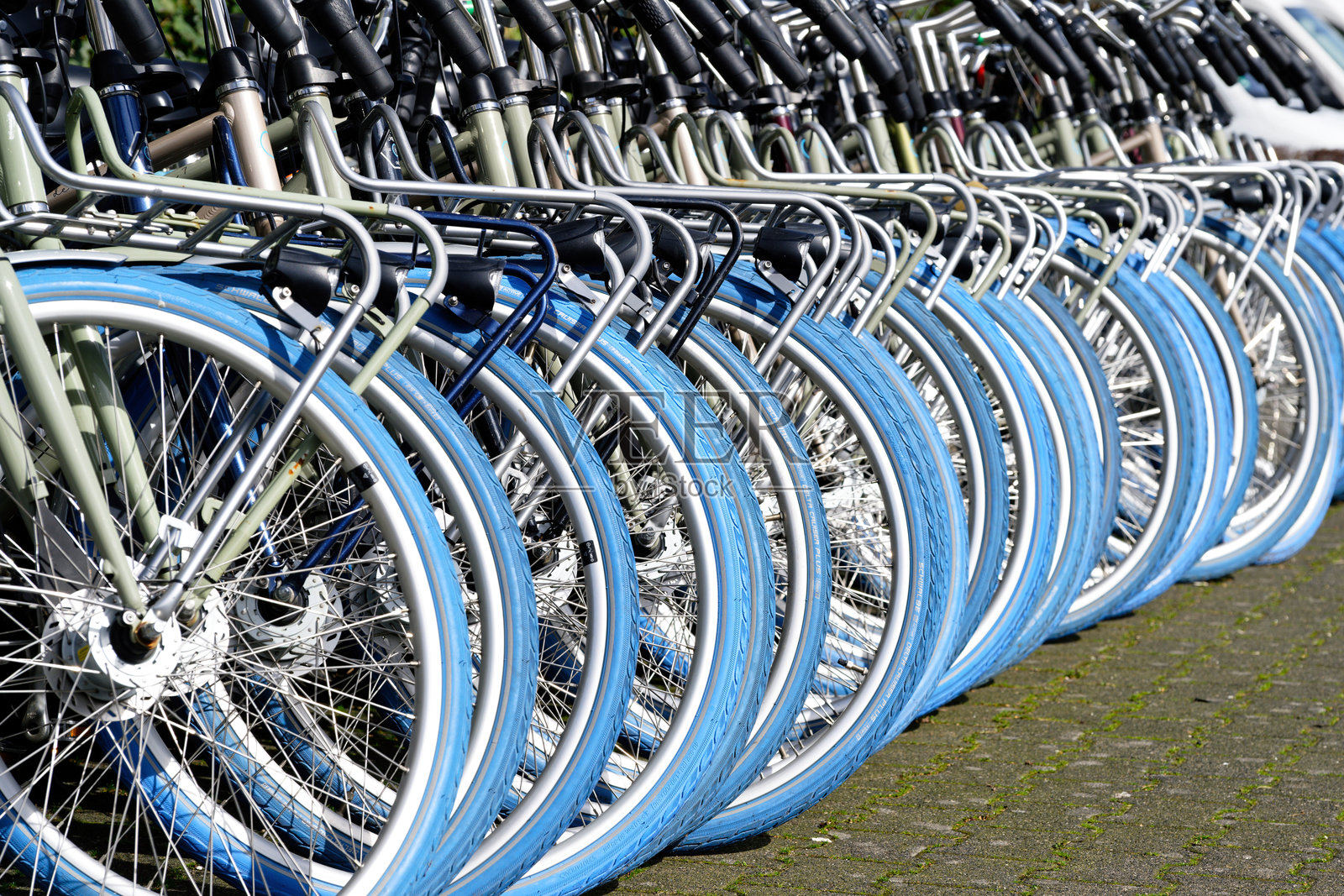 科隆的租赁自行车照片摄影图片