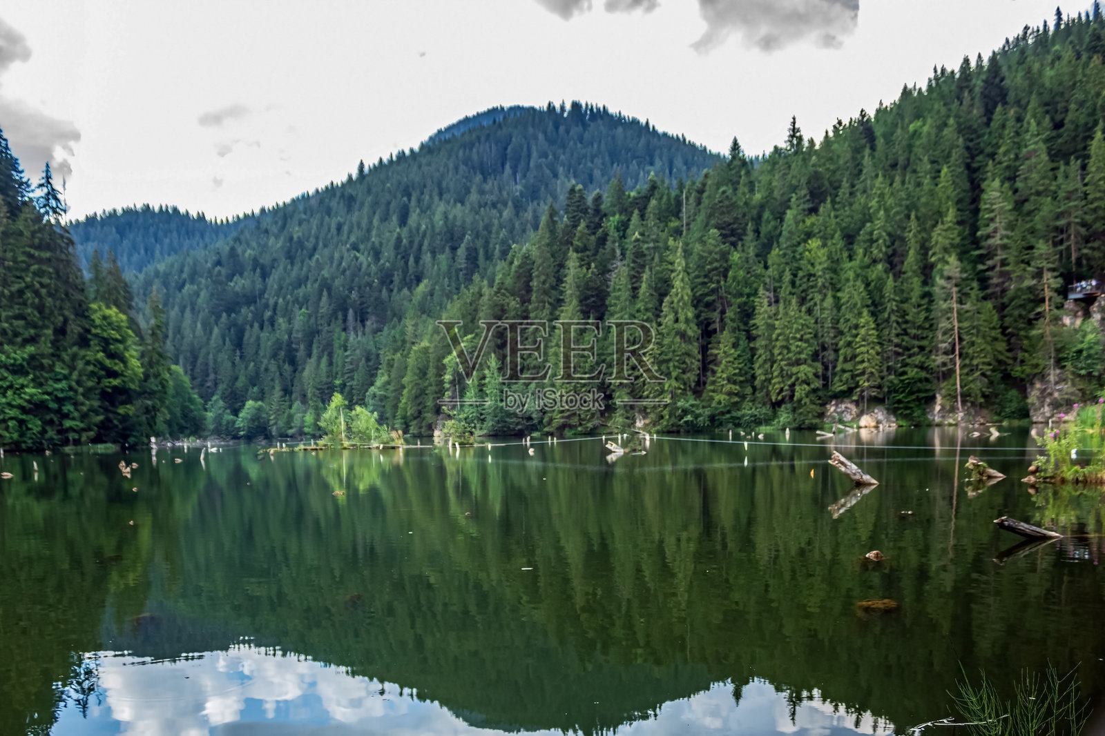 风景 - 森林 - 欧洲，罗马尼亚，苏恰瓦地区照片摄影图片