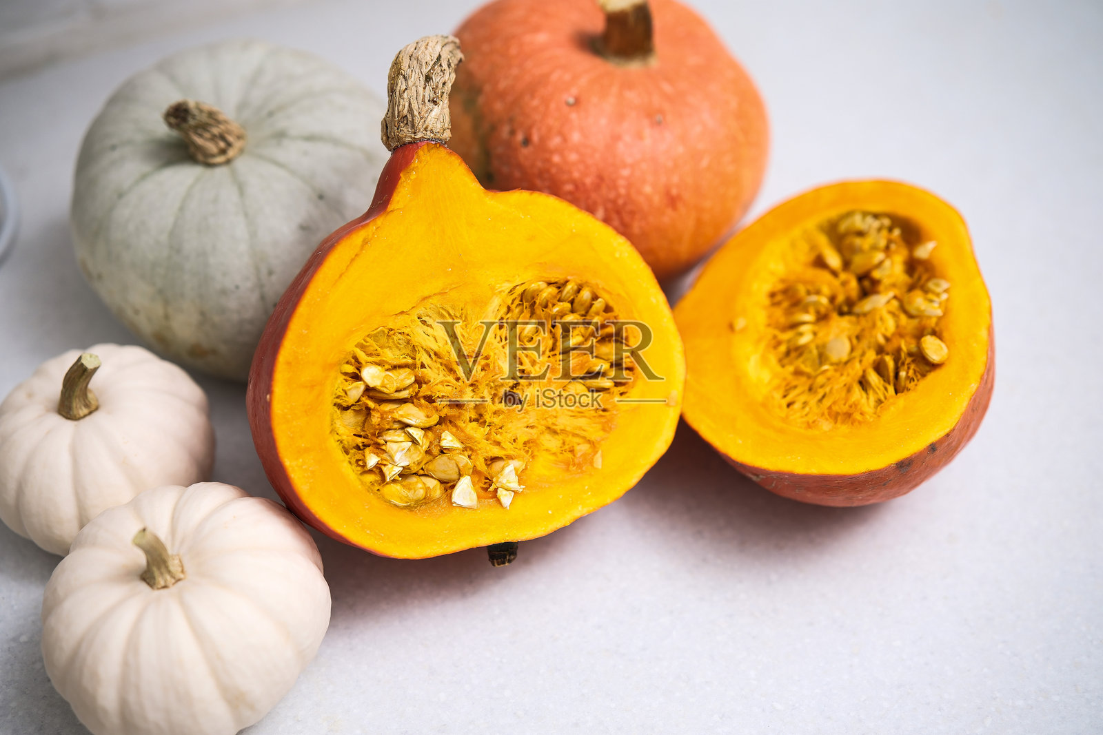 一组生动多彩的南瓜和 squash 在浅色背景上展示照片摄影图片