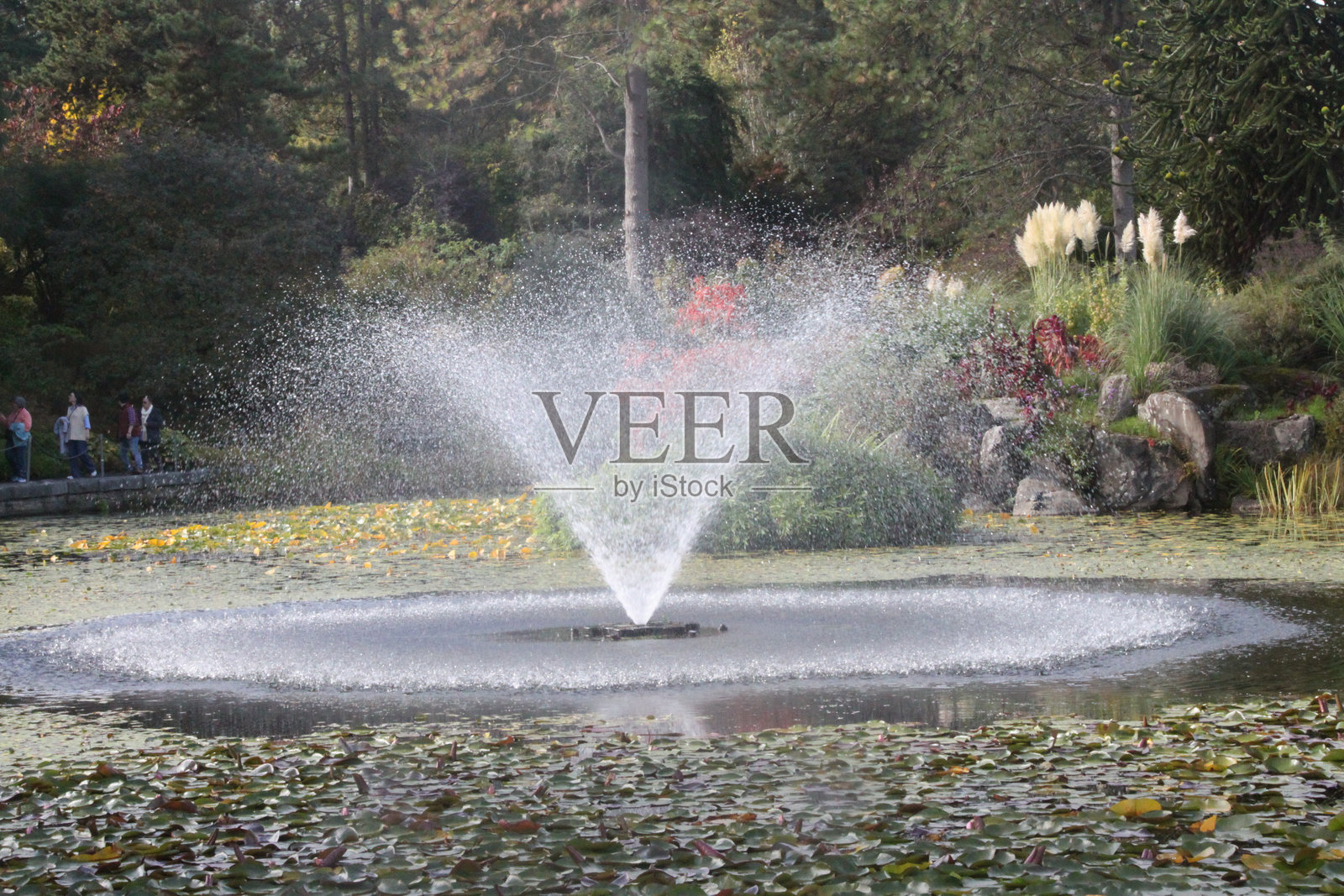 花园喷泉照片摄影图片