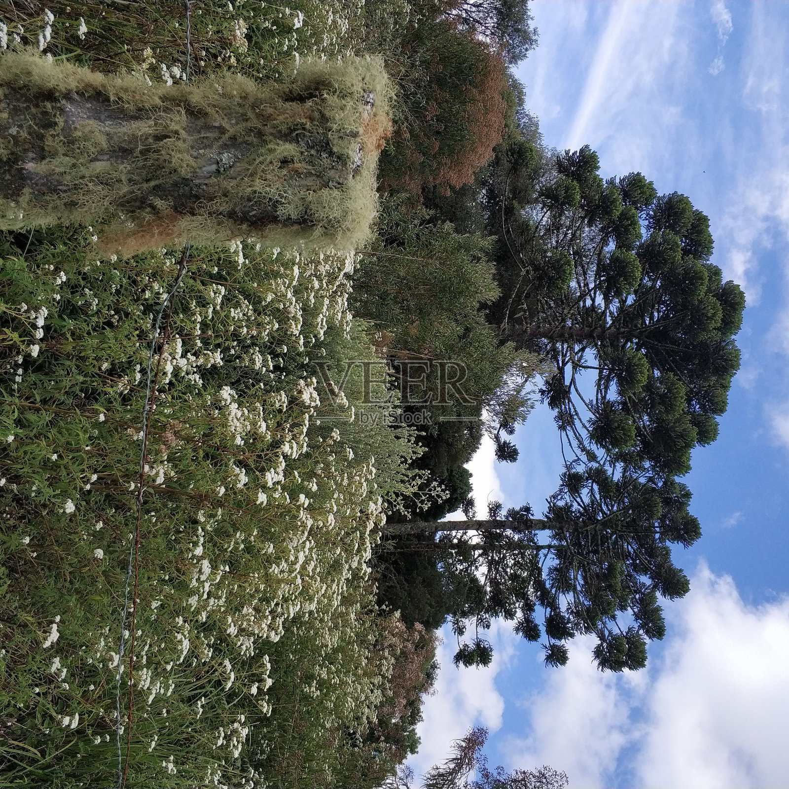 围栏细节照片摄影图片