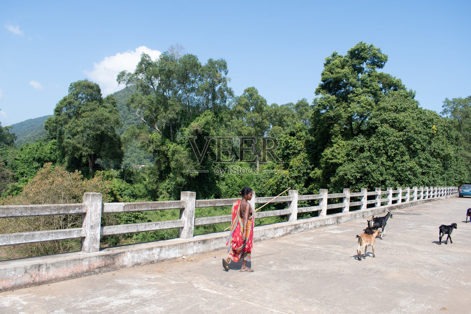 村妇与她的山羊穿过混凝土桥。照片摄影图片