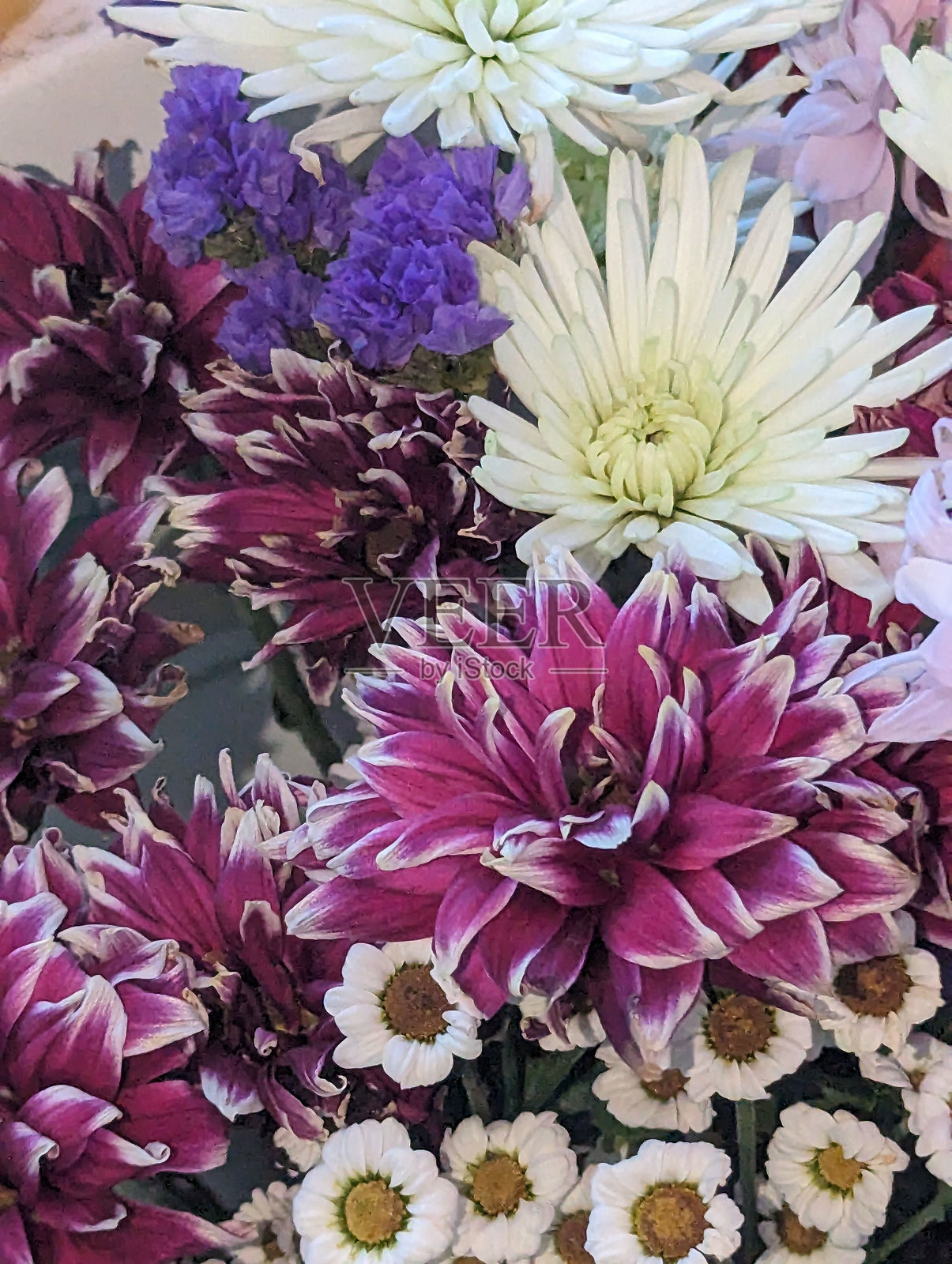 鲜艳的混合花卉特写照片摄影图片