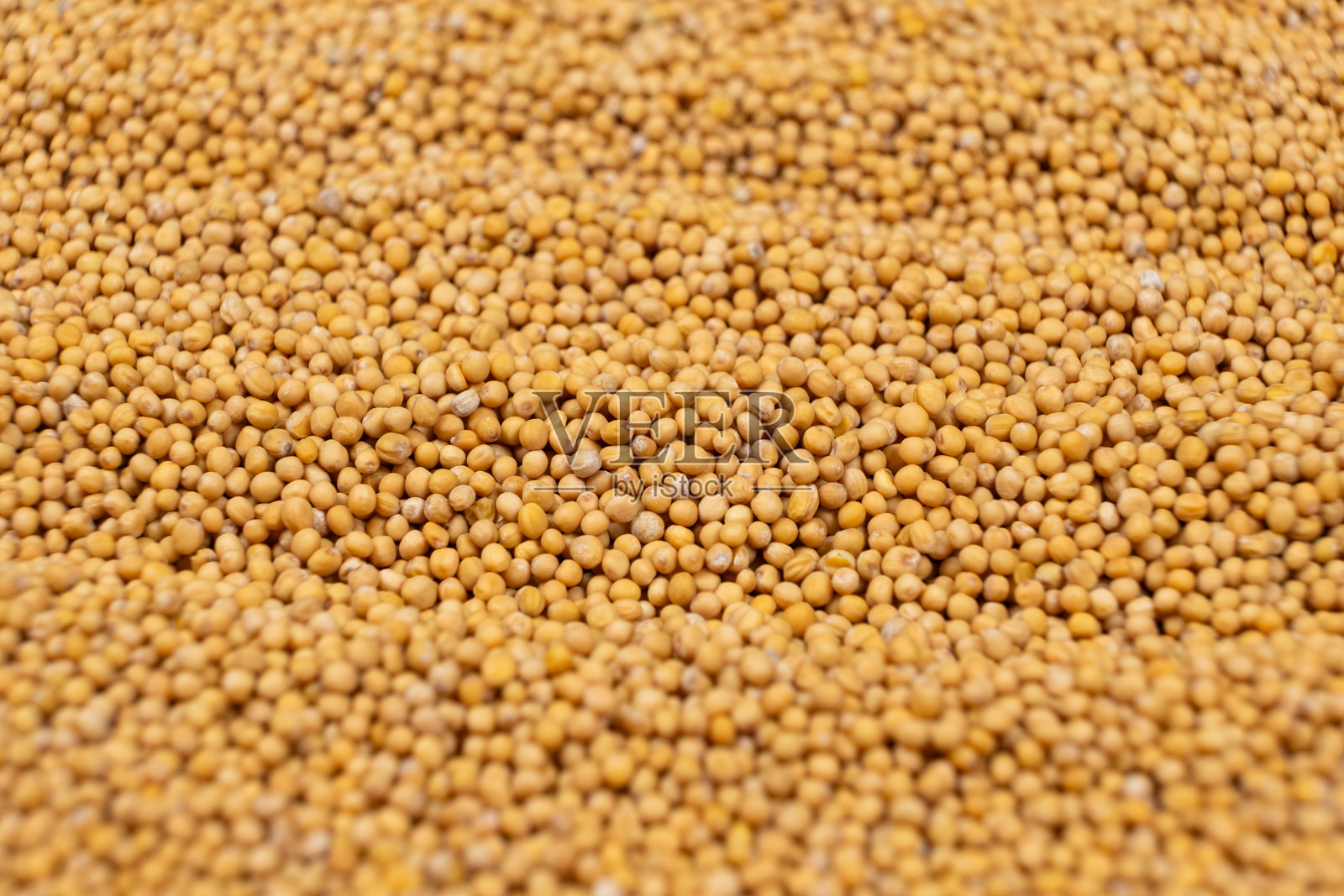 黄色干芥菜种背景，自然有机调料照片摄影图片