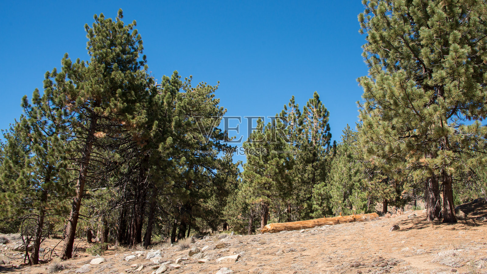 加利福尼亚州皮诺斯山照片摄影图片