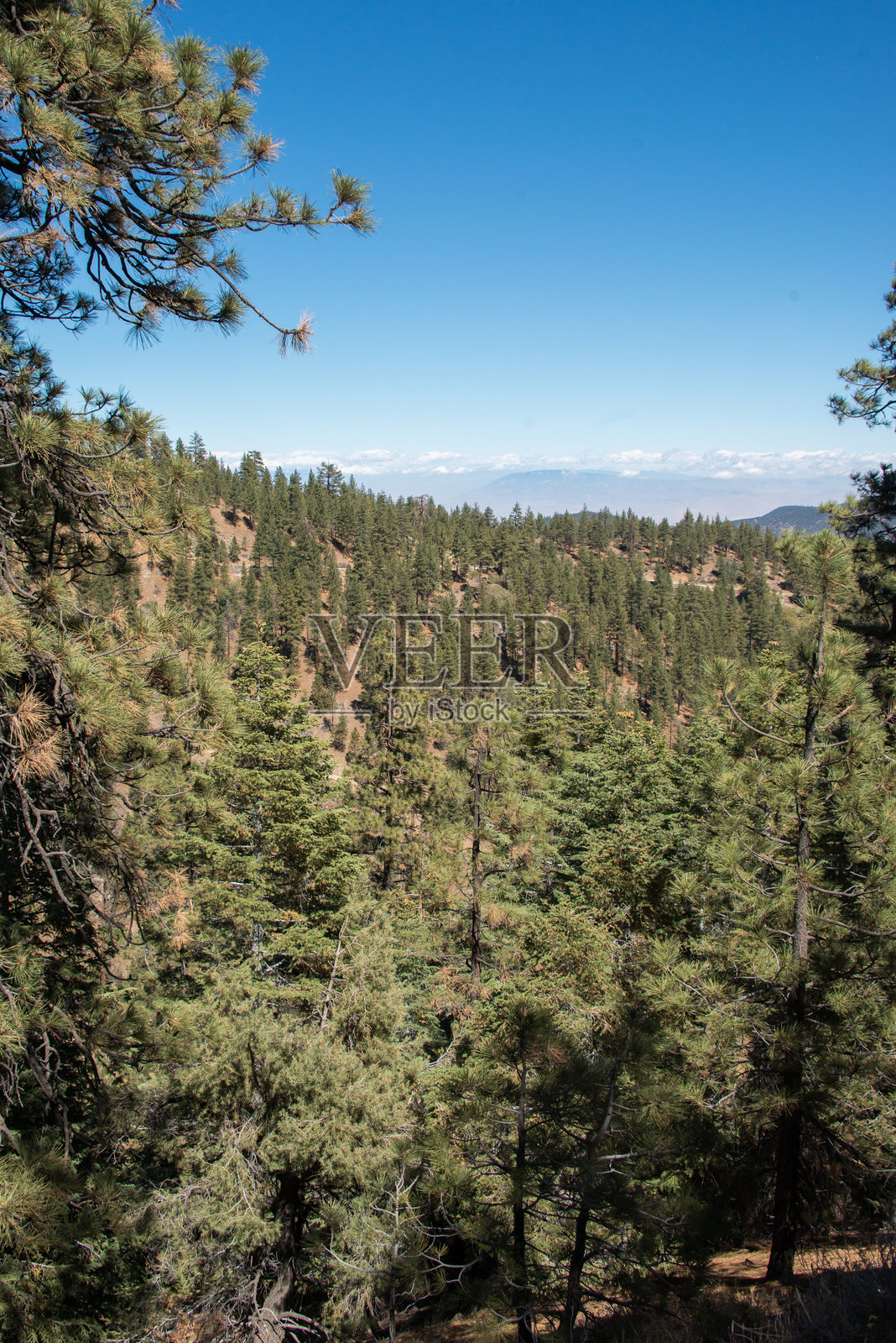 加利福尼亚州皮诺斯山照片摄影图片
