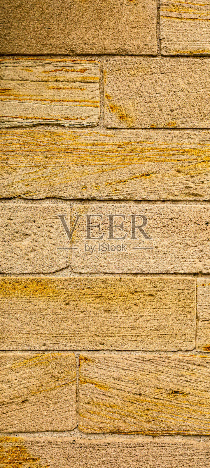 背景和纹理照片摄影图片