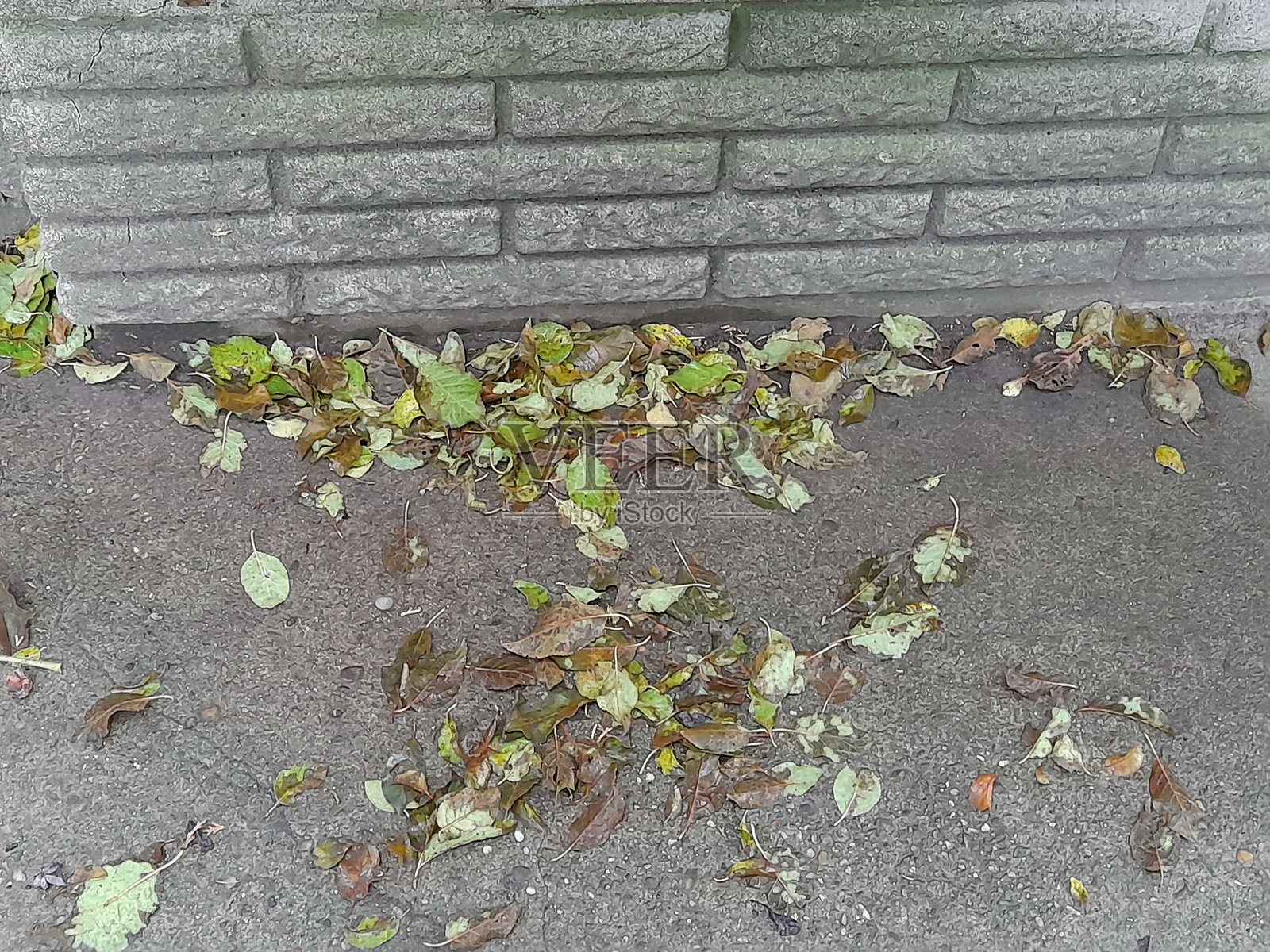 混凝土墙和地上的叶子作为背景照片摄影图片