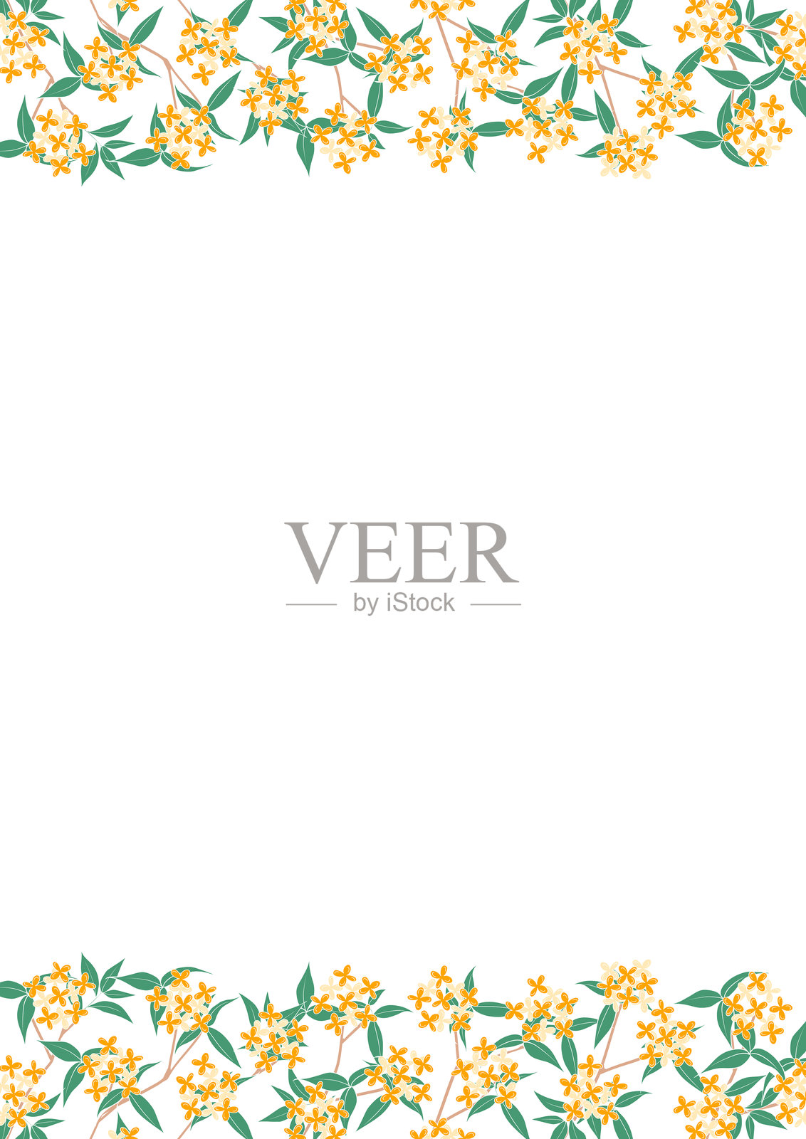 可爱的金桂花框架照片摄影图片