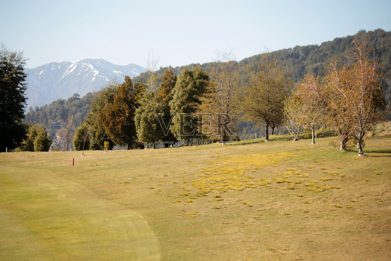 公园里的午后金色光线照片摄影图片