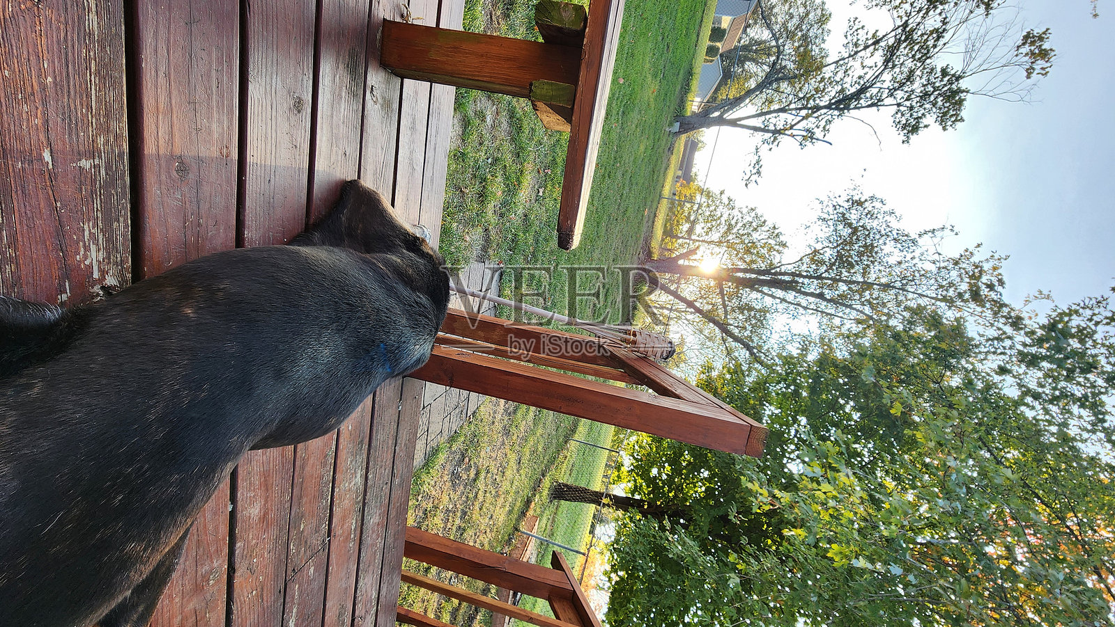 十月的秋天照片摄影图片