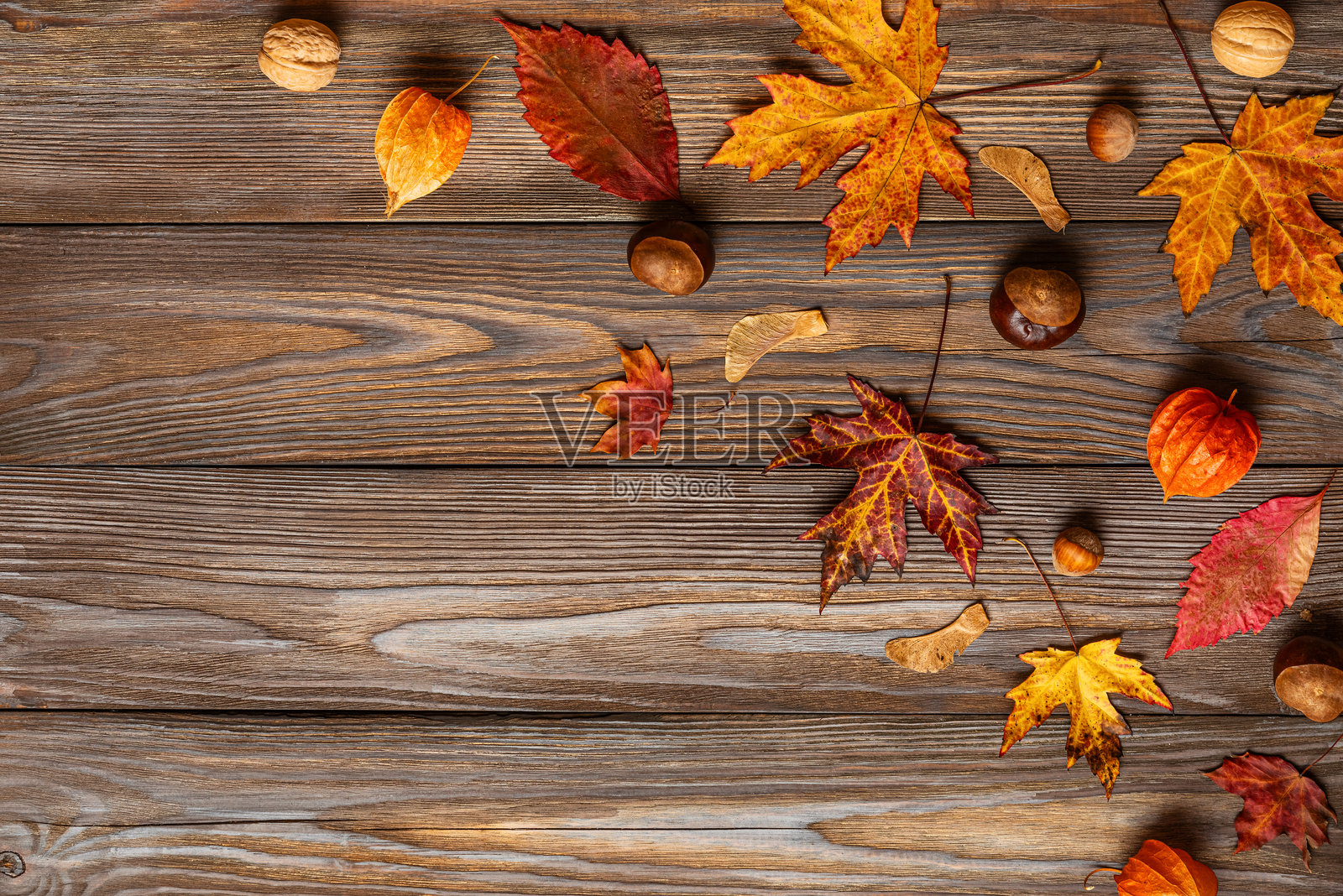 秋季和感恩节背景，由干枯的秋叶、花朵、坚果和栗子组成，放置在粗糙的木质背景上。平铺视角，顶部视图，留有空白空间。照片摄影图片