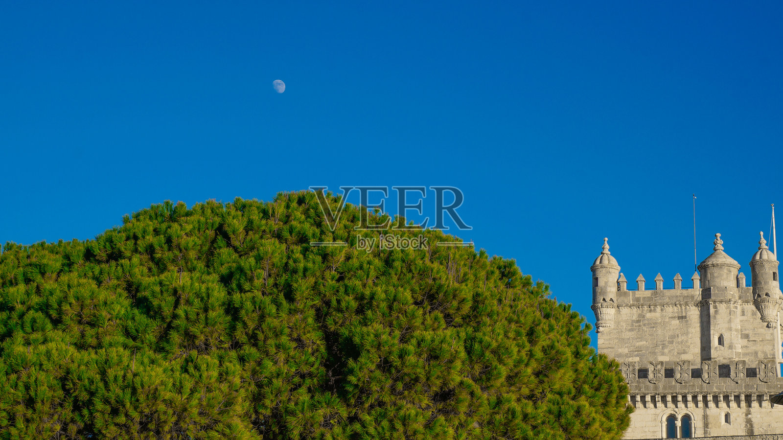 贝伦塔，蓝天中月亮升起，旁边是一棵非常绿的树照片摄影图片