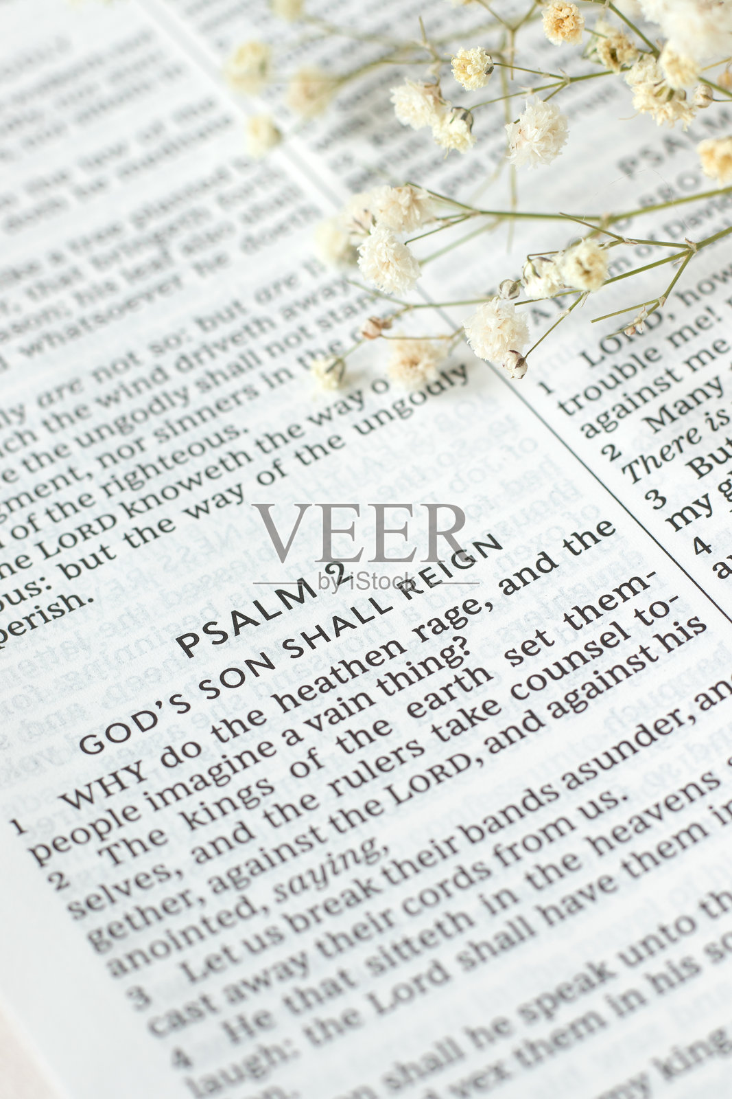 《圣经》中的诗篇第二篇，神的儿子将要统治，特写镜头照片摄影图片