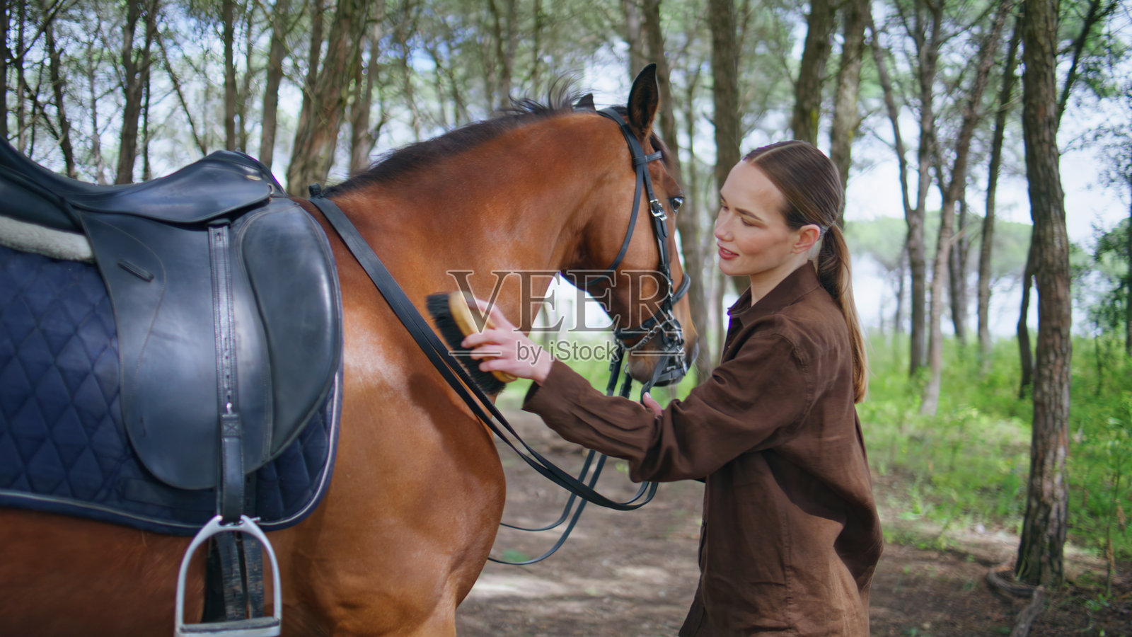 在农场里，关心的女性正在用刷子为马匹梳理毛发，特写镜头。女士在照顾宠物。照片摄影图片