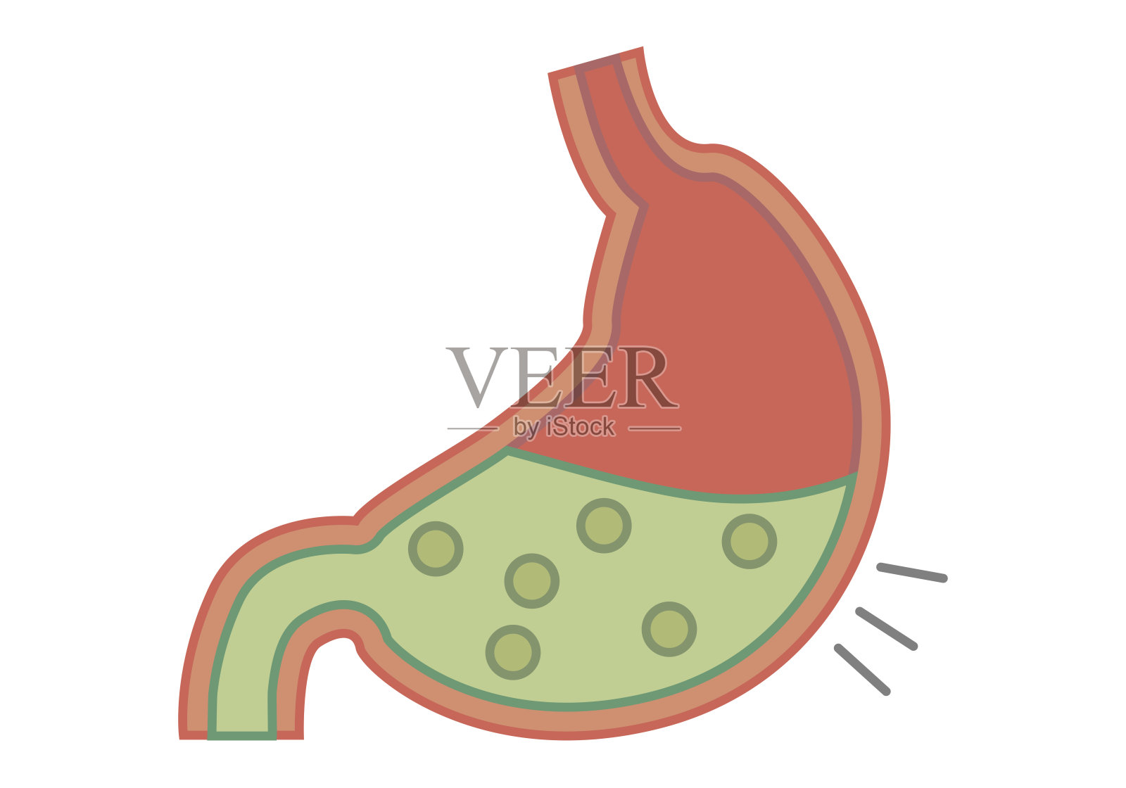 人类胃部伴随烧心症状插画图片素材