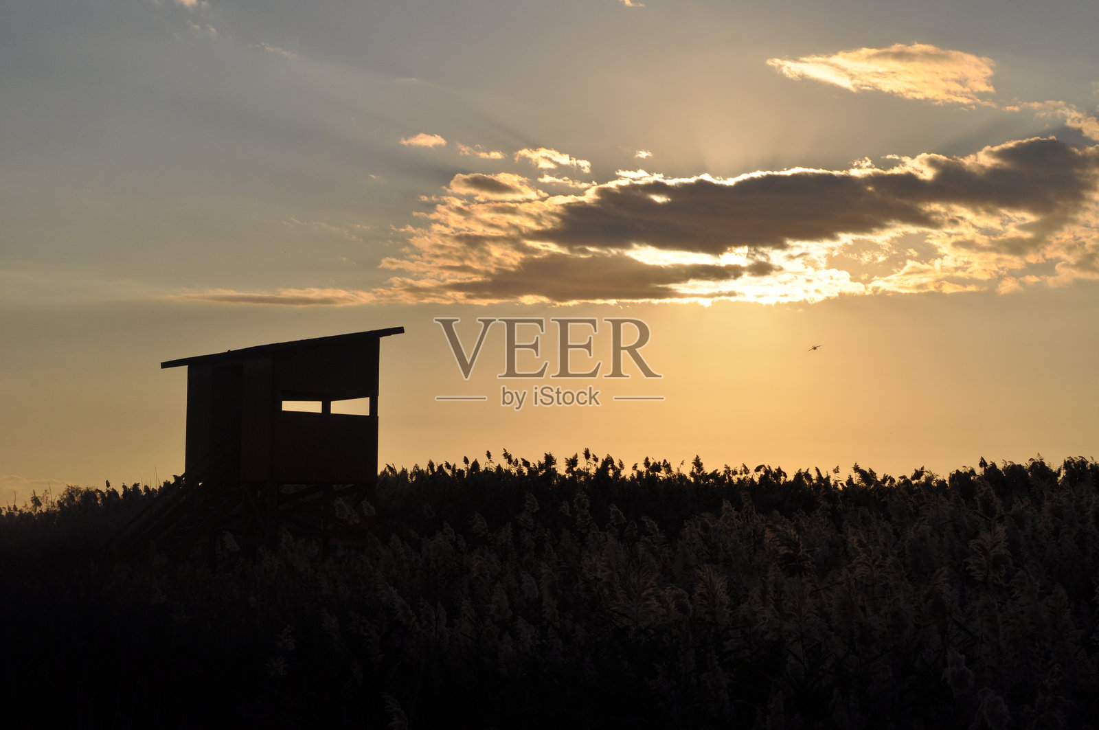 夕阳下的云彩天空风景照片摄影图片