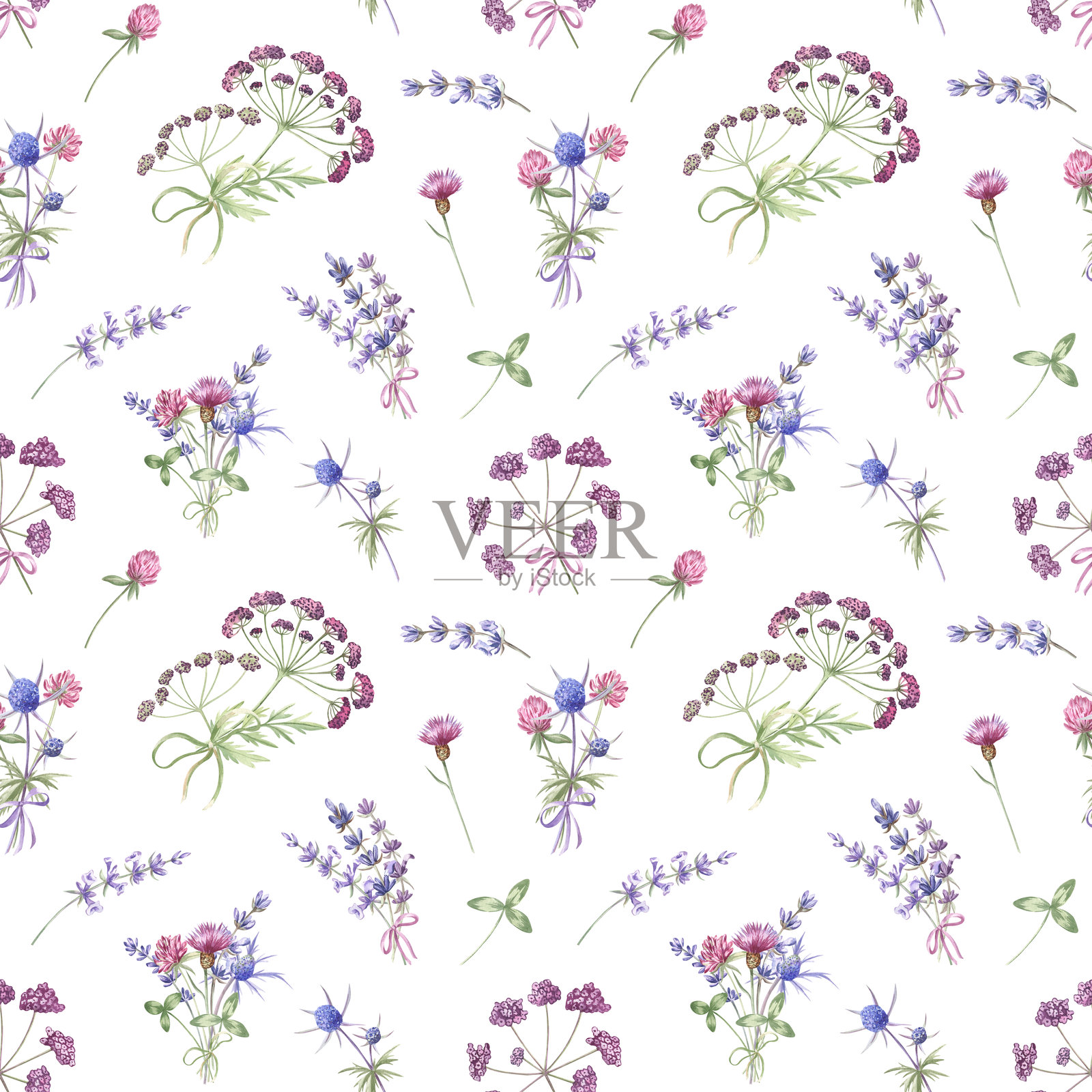 草地和野花的无缝图案，包含薰衣草、三叶草、蓟和草。照片摄影图片